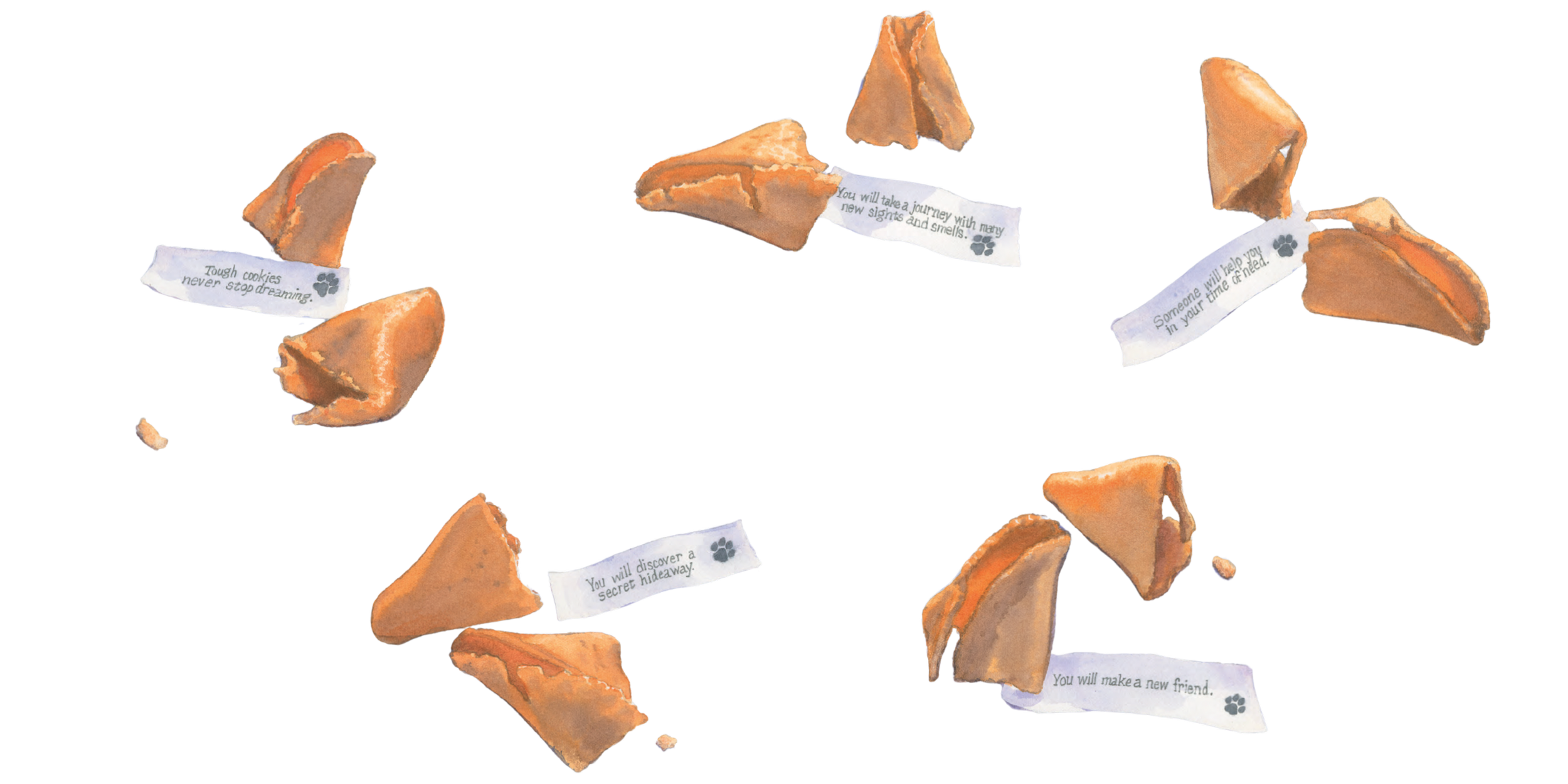 Broken cookies with attached paper tags containing inspirational messages