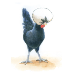 A cartoon chicken with a fluffy white head and dark body standing on a beige ground.