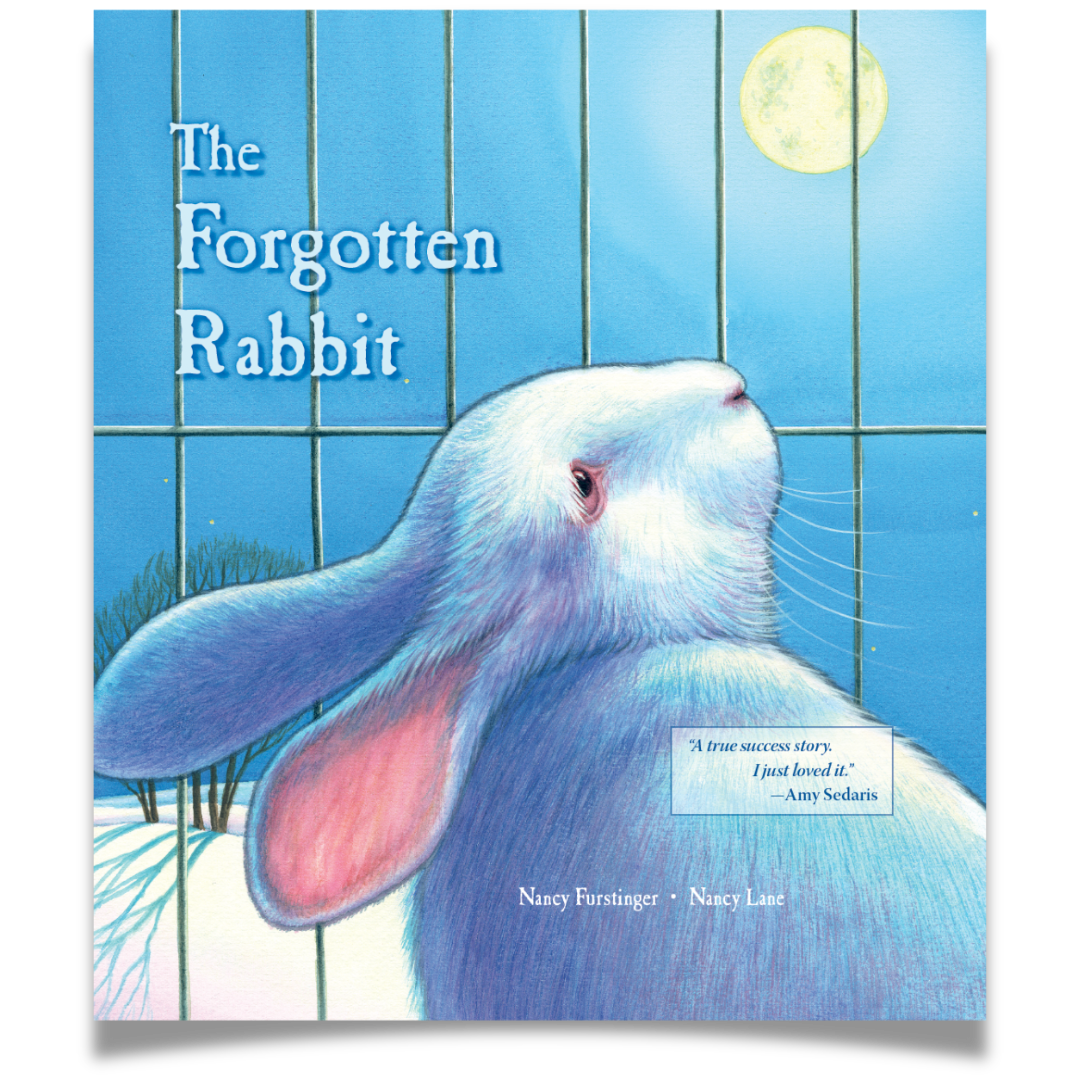 The Forgotten Rabbit