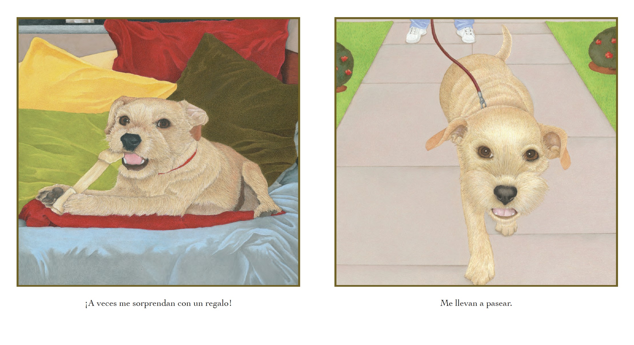 Illustration of a tan puppy lying on colorful cushions, chewing a bone, with a caption in Spanish that says "Sometimes I am surprised with a gift!" Next to it, a tan puppy is walking on a sidewalk, with grass and bushes around, and a caption in Spani