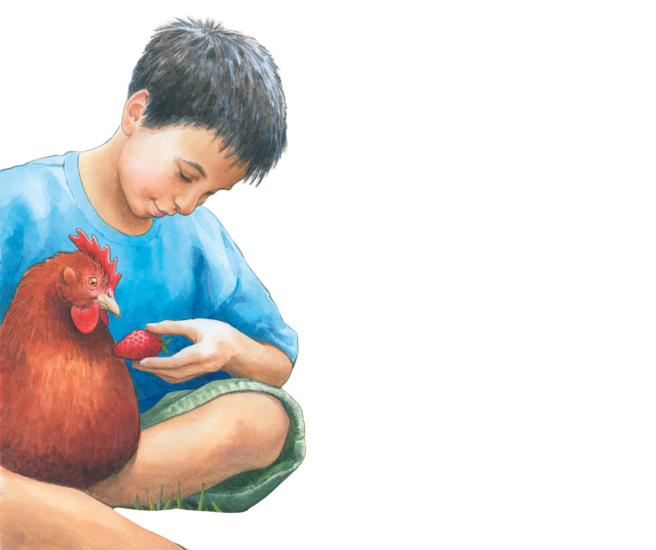 A young boy with short dark hair sitting on the grass, feeding a red chicken a strawberry.