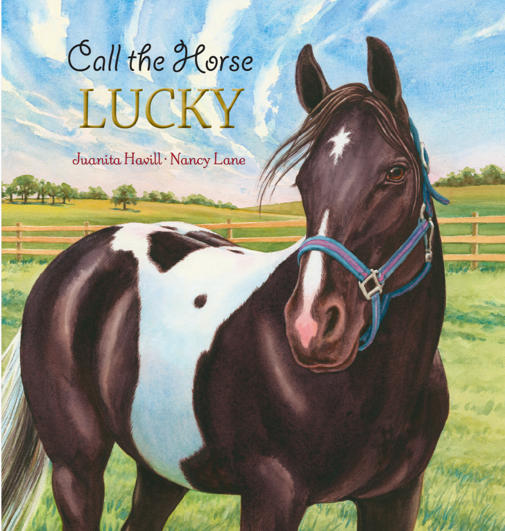 Book cover titled 'Call the Horse Lucky' featuring a black and white paint horse with a blue halter standing in a grassy field with trees and a wooden fence under a blue sky with clouds.