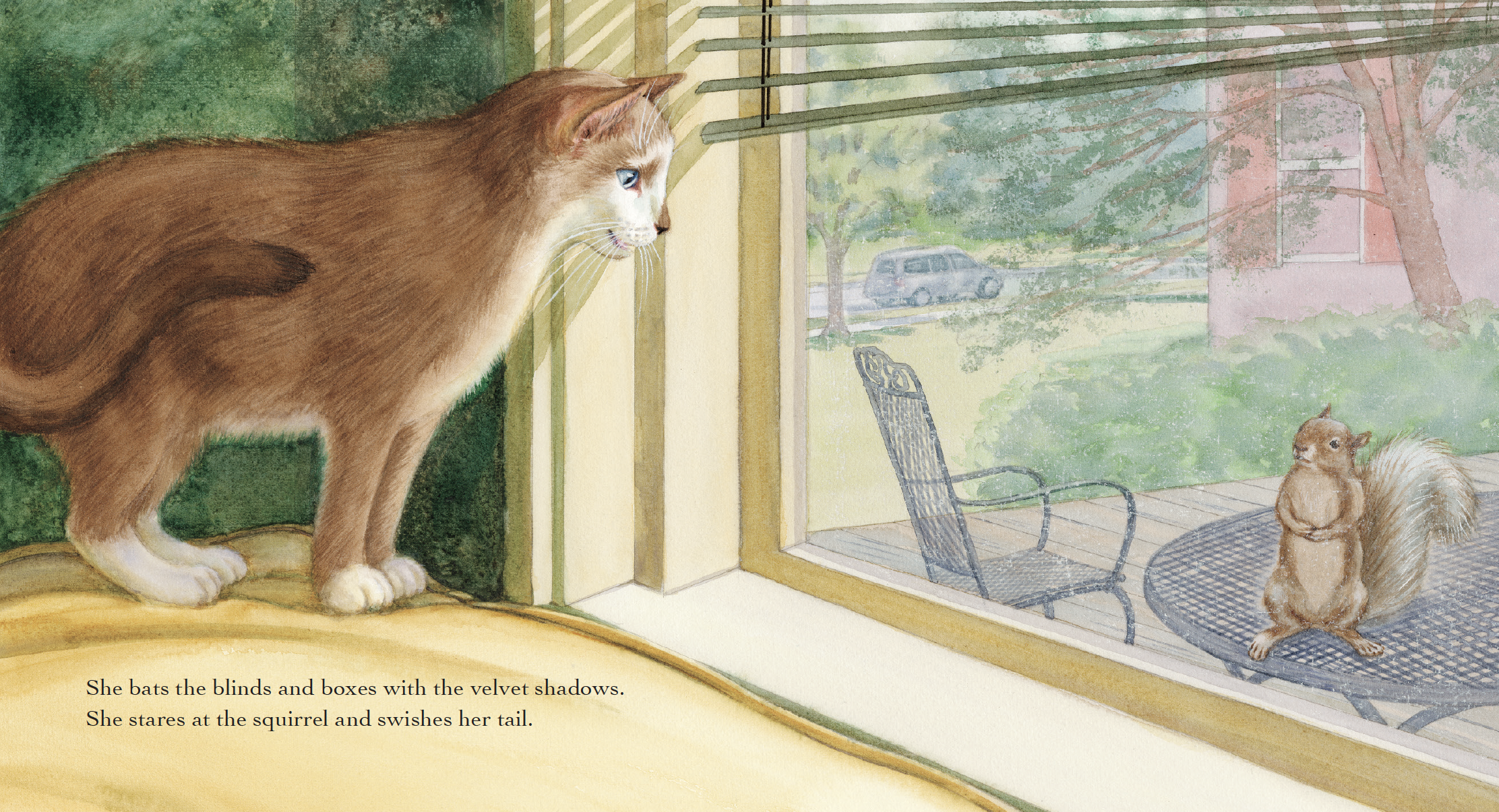 A brown cat with blue eyes looking out a window at a squirrel on a patio table. The scene is outdoors with trees, a car, and a house in the background. The cat is perched on a yellow surface inside the house.