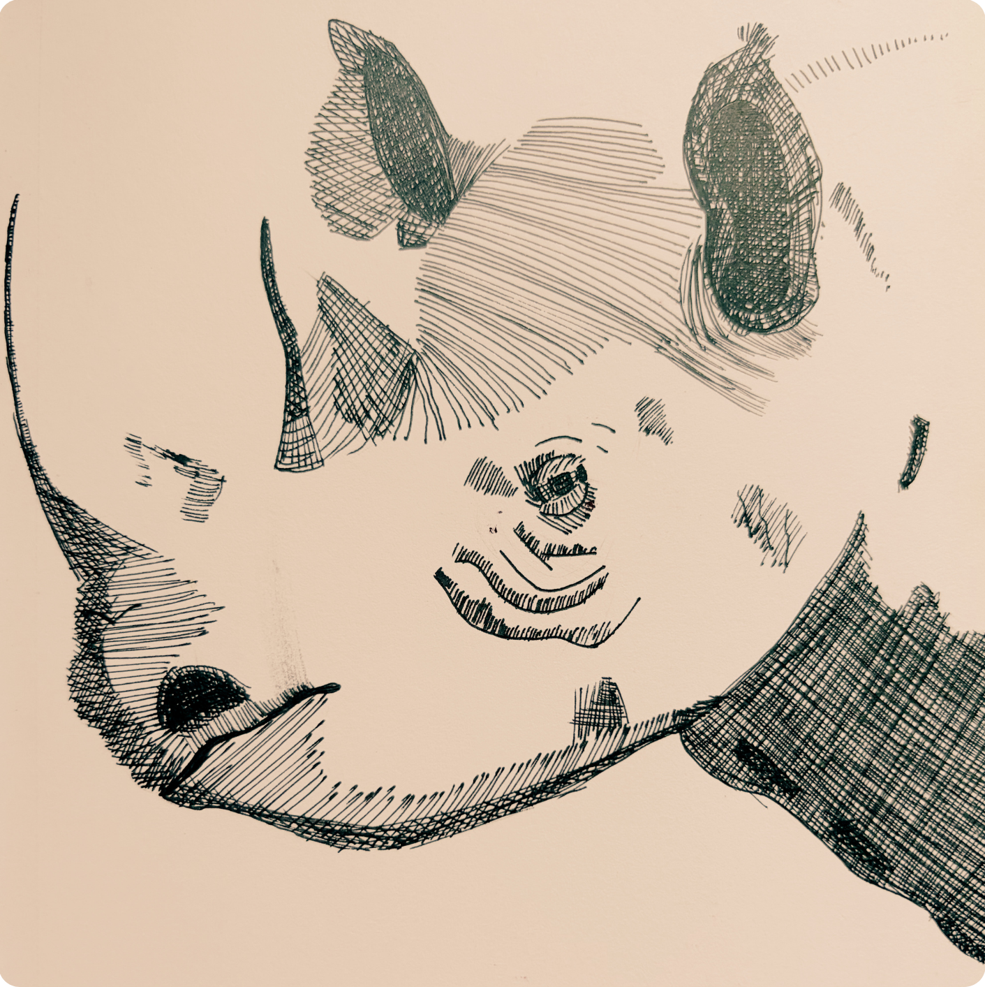 15.png