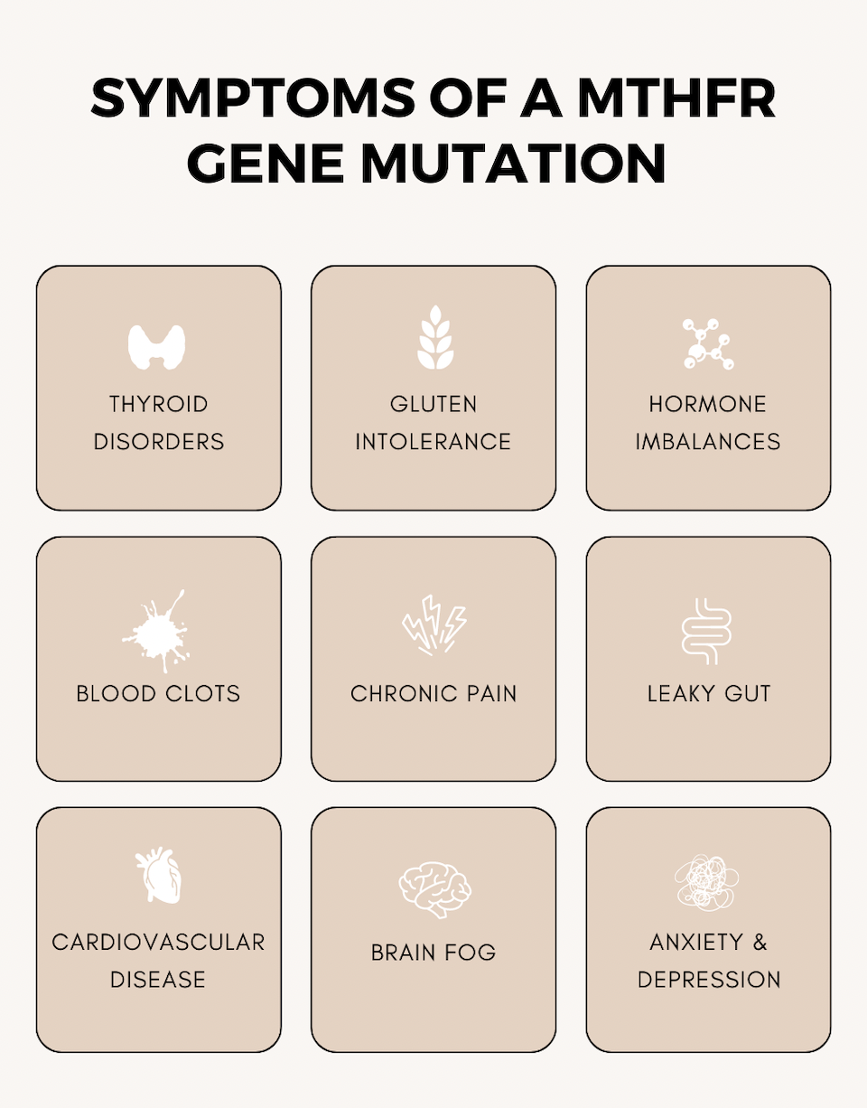 Chart titled Symptoms of a MTHFR gene mutation with nine sections, each with an icon and label: thyroid disorders, gluten intolerance, hormone imbalances, blood clots, chronic pain, leaky gut, cardiovascular disease, brain fog, and anxiety & depression.
