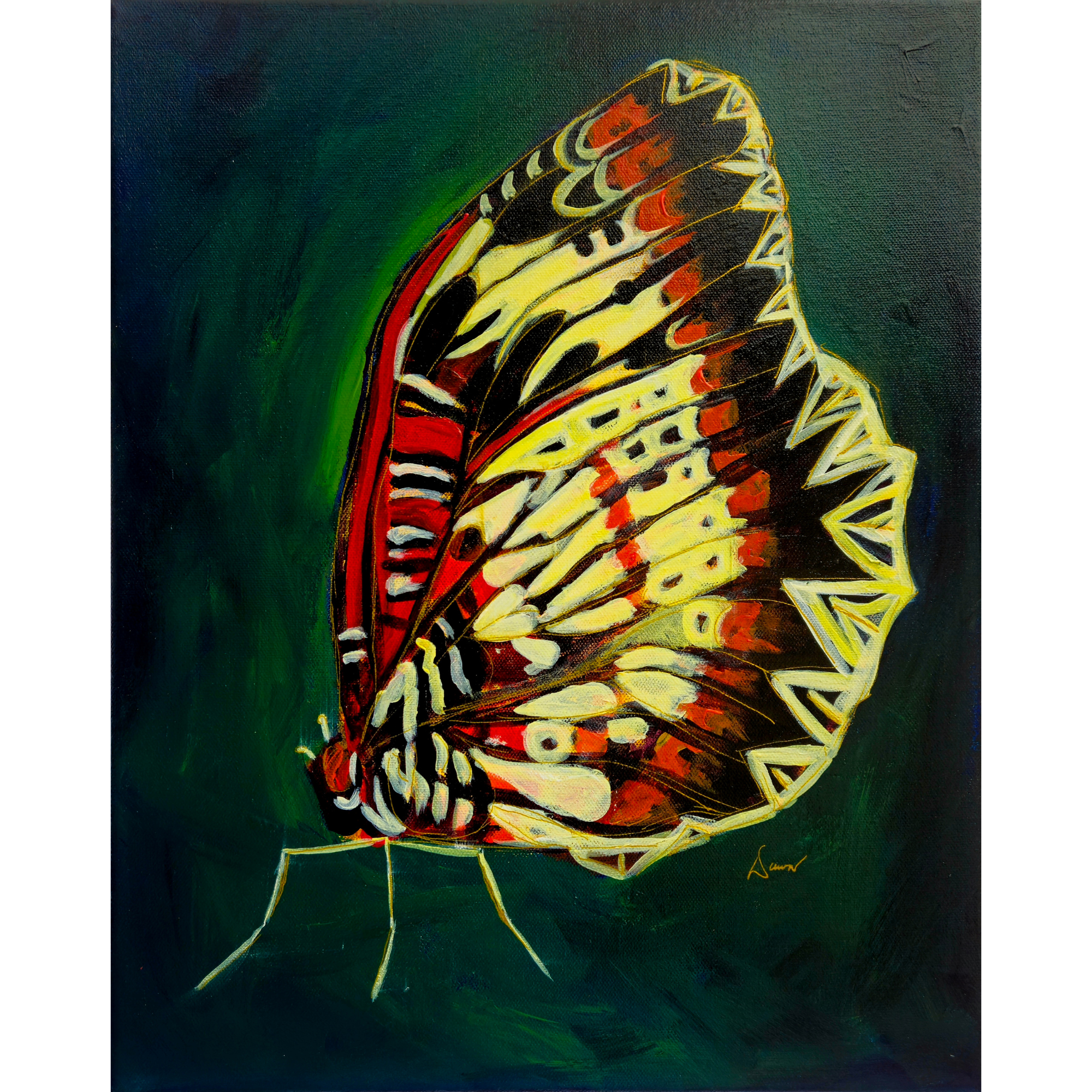 "Cethosia" Original Painting - Framed Gallery Canvas