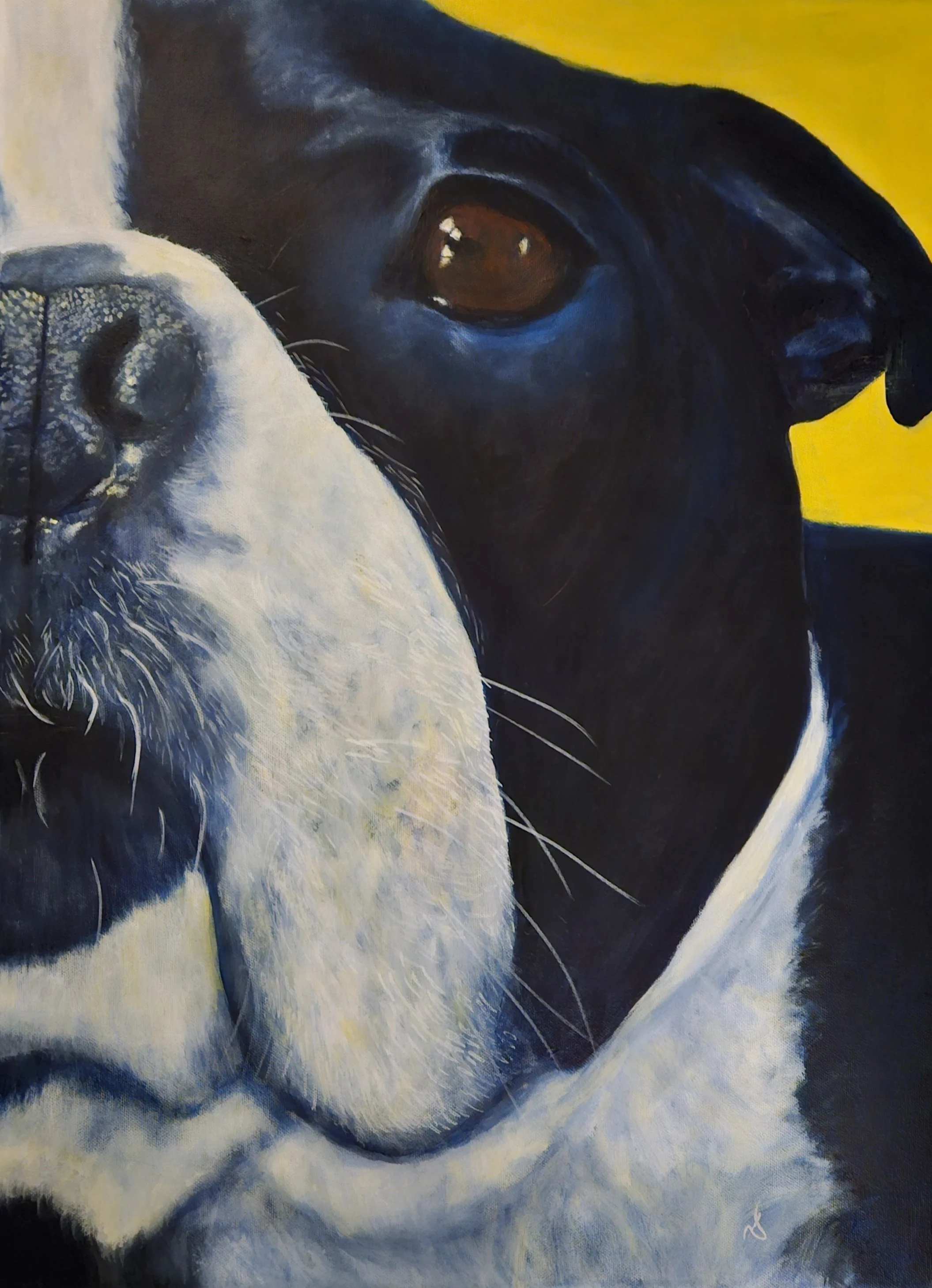 "Biscuits" Original Painting – Framed Gallery Canvas