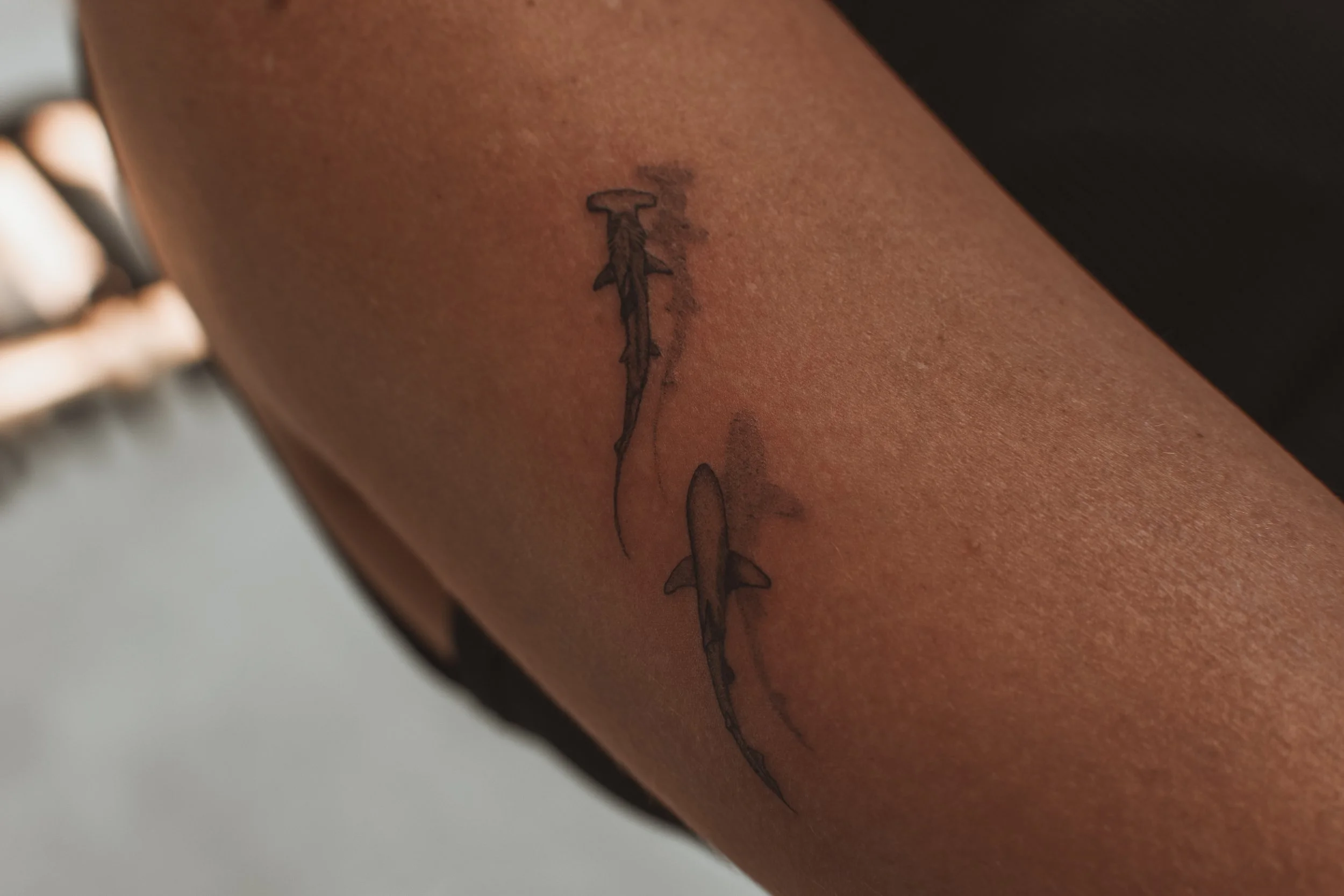 Inked by ri - kansas city fine line tattoos-04 3.JPG