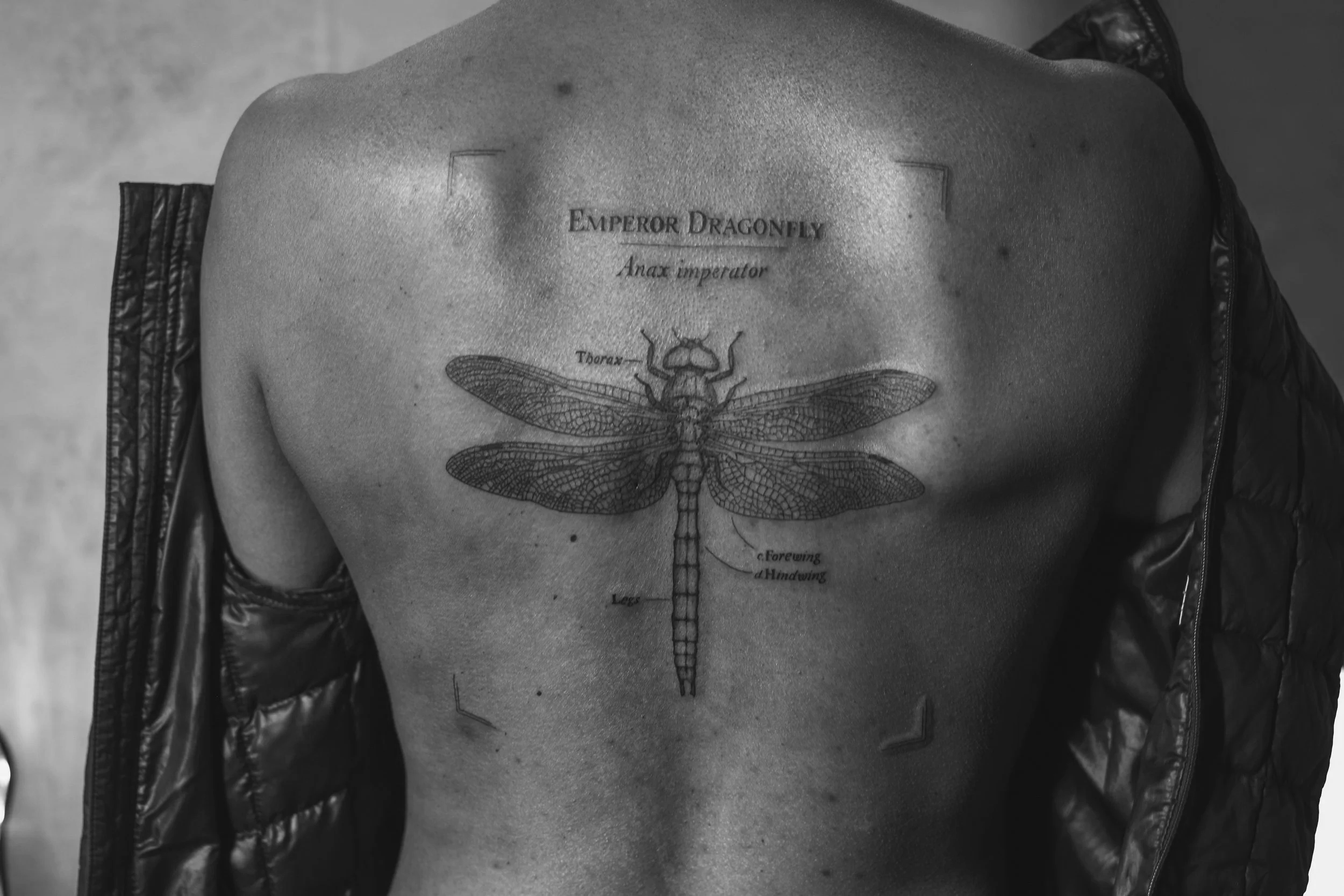 Intricate Pieces