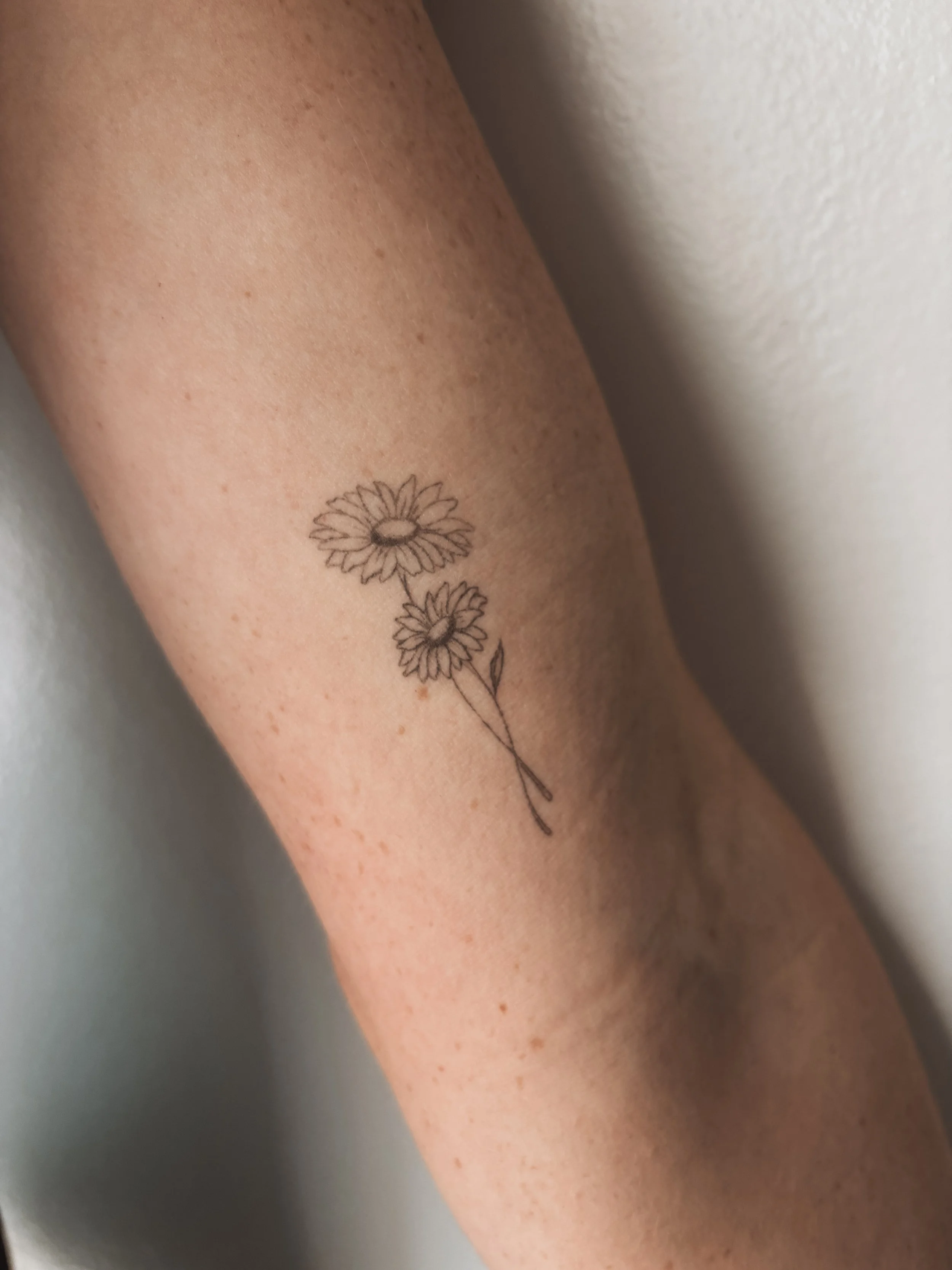 Inked by ri - kansas city fine line tattoos-2 9 copy 2.jpg