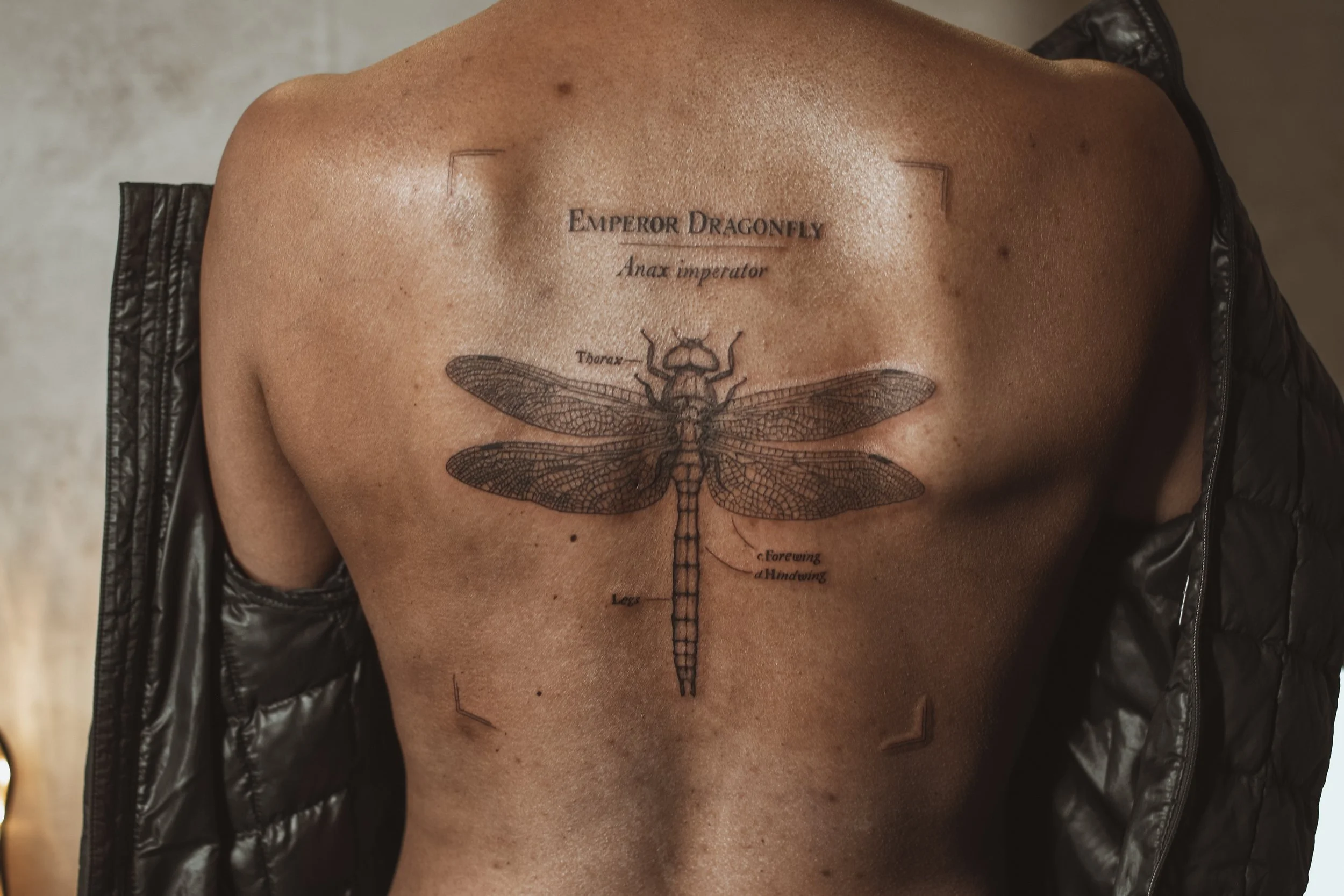 Inked by ri - kansas city fine line tattoos-08 3.JPG