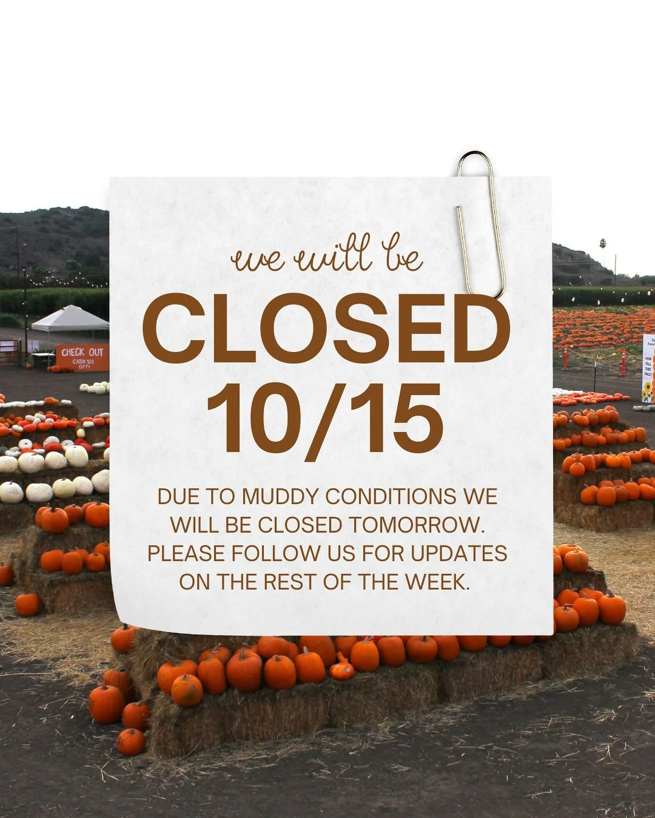 Please follow us for updates on the rest of the week!🎃