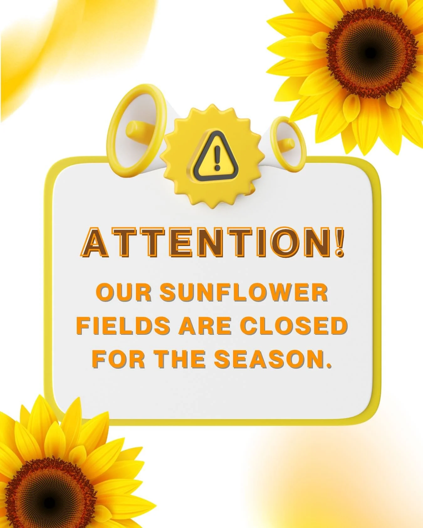 Our sunflower fields have faded for the season, as these lovely blooms don&rsquo;t last forever🌻 ‼️The fields can no longer be accessed. Thank you for all the enthusiasm you&rsquo;ve shown for them! 

🎃The patch is still full of magic! Come join us