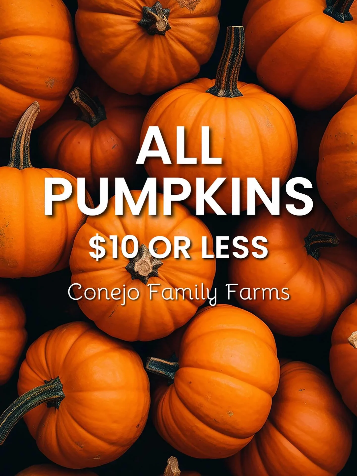 All pumpkins at Conejo Family Farms are $10 or less (aside from the big prize winners)! Come stock up for Halloween and/or fall decor!🎃🍁 

#conejofamilyfarms #pumpkins #camarillo