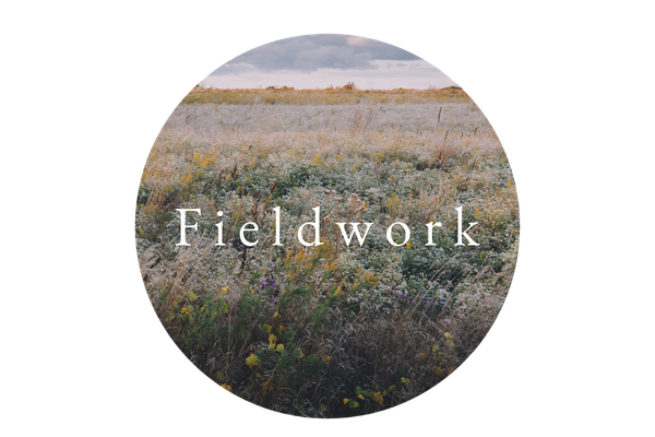 Fieldwork Logo