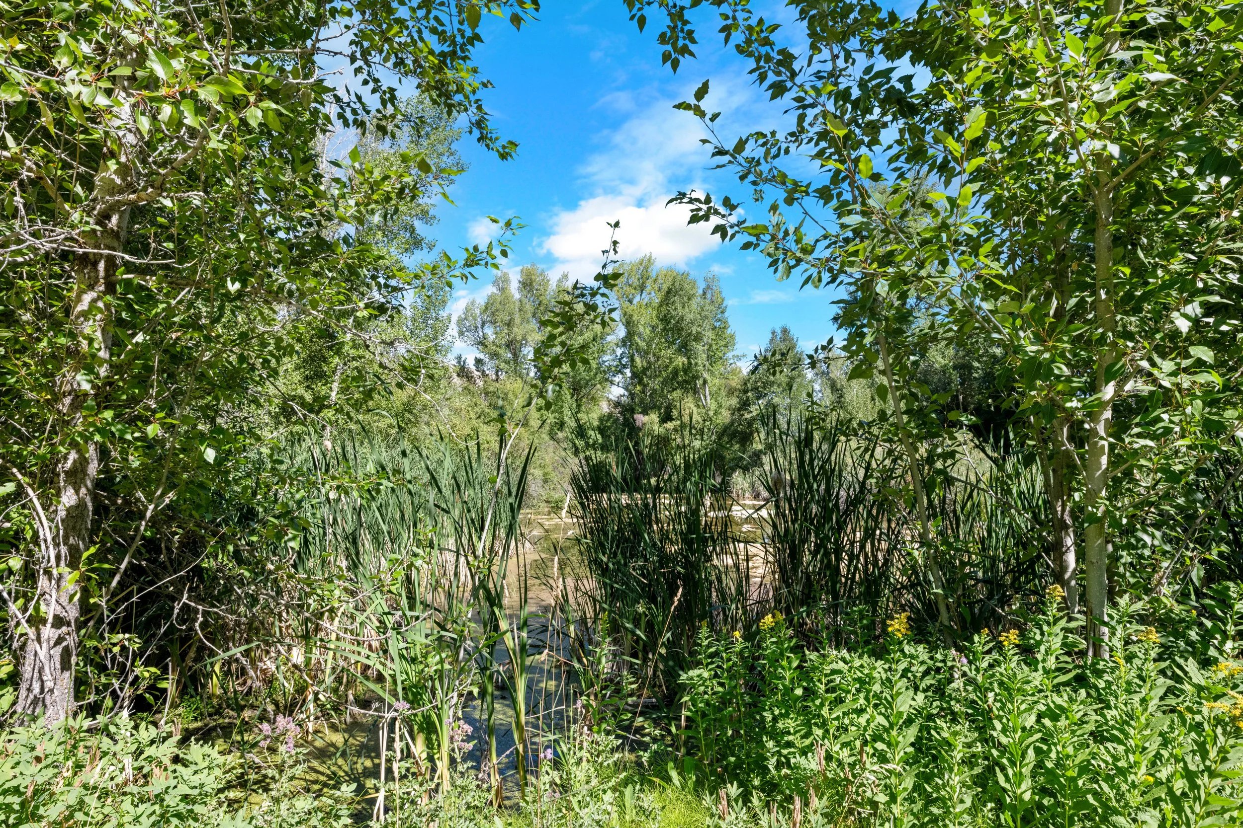DSC_7960.JPG