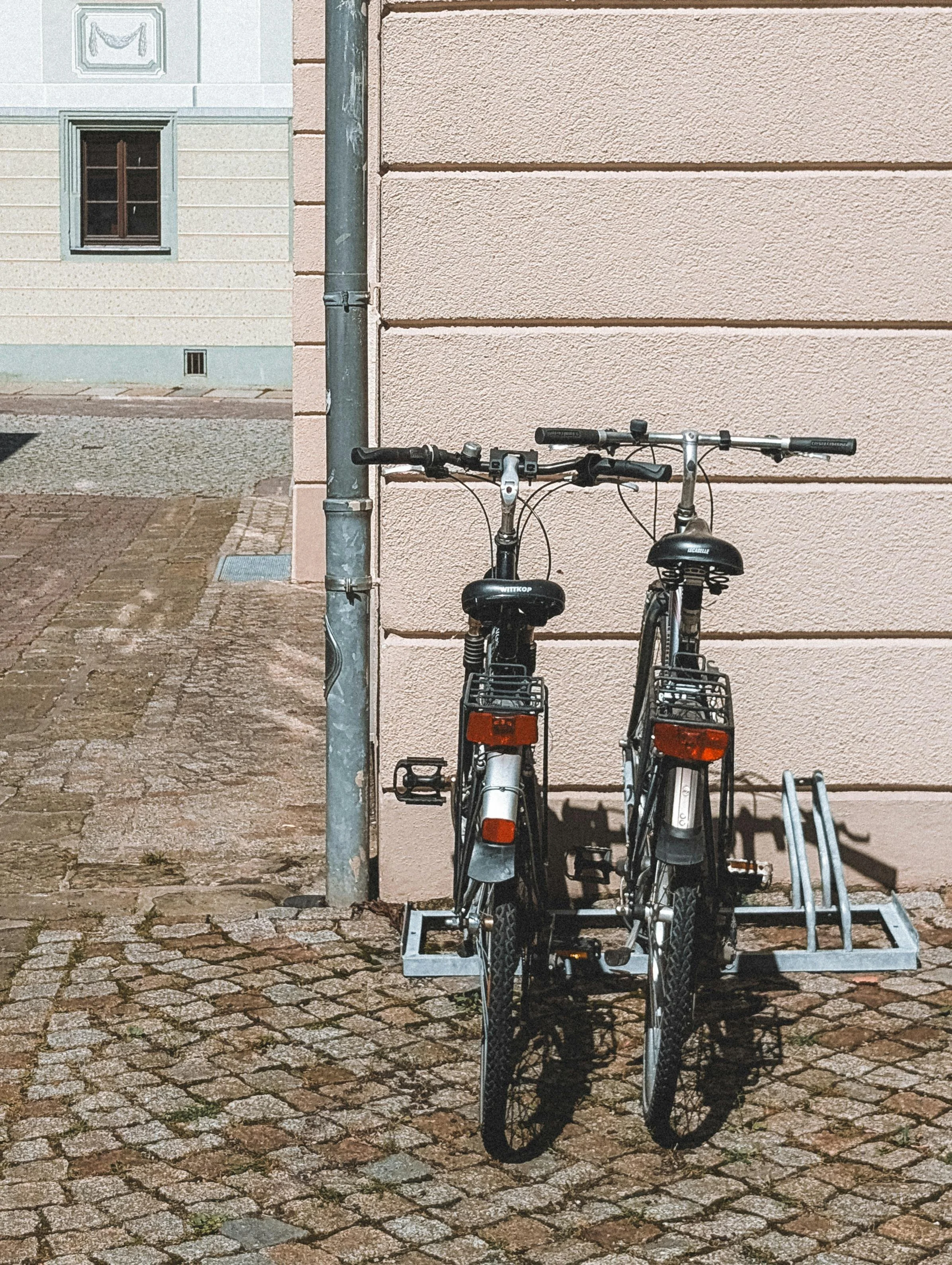 Bike Ride to Heide Museum: Nature, Art & Connection
