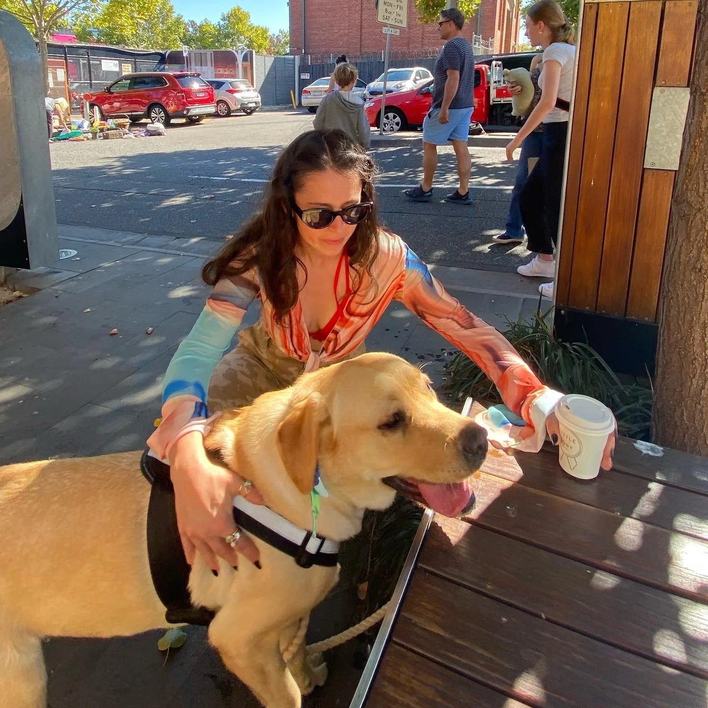 Dog Lovers Connect 🤍