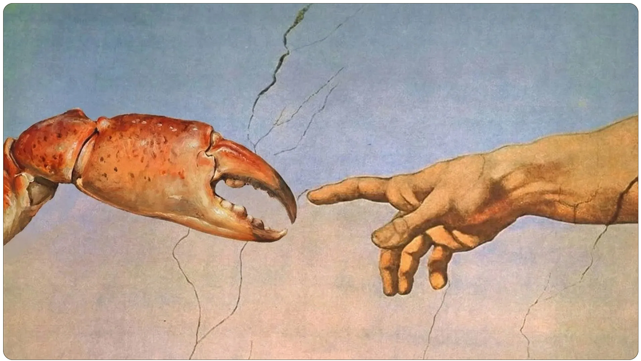 Issue 44: The internet has crabs