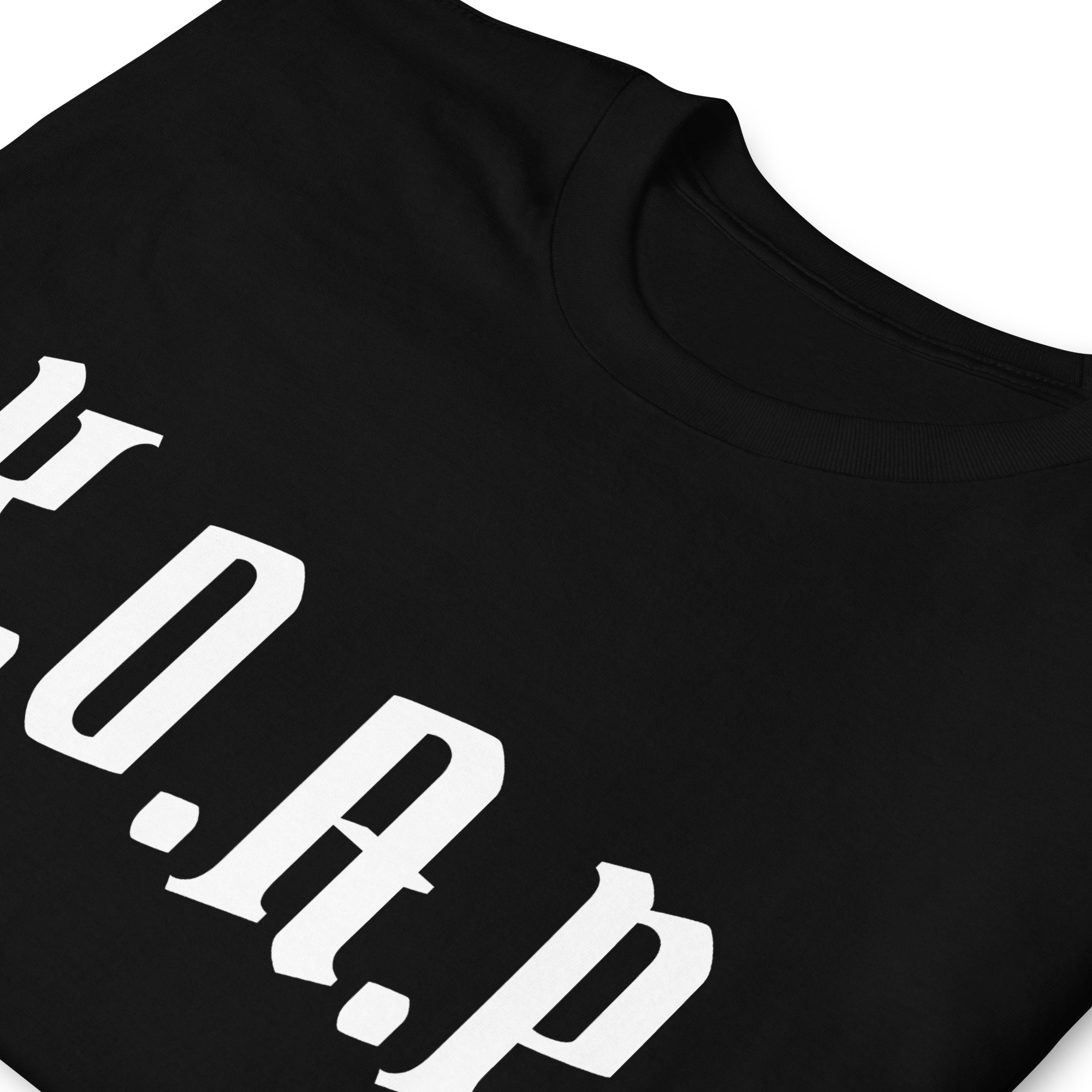 unisex-basic-softstyle-t-shirt-black-zoomed-in-68536e09a1b2d.jpg