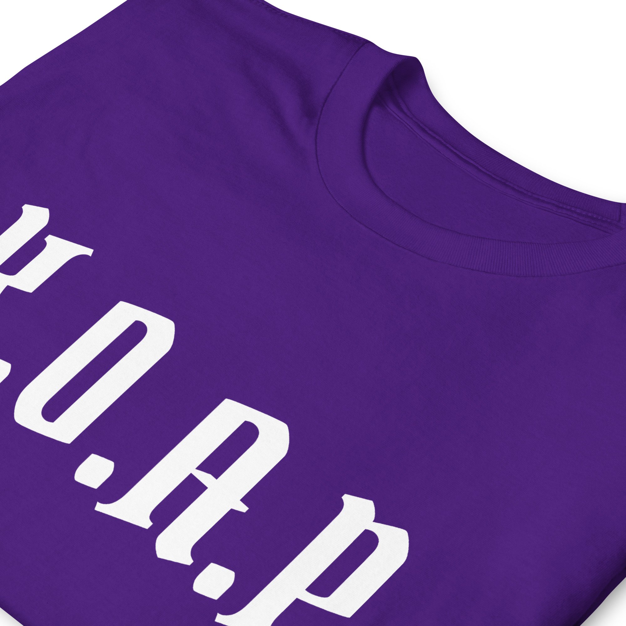 unisex-basic-softstyle-t-shirt-purple-zoomed-in-68536e09a48d2.jpg