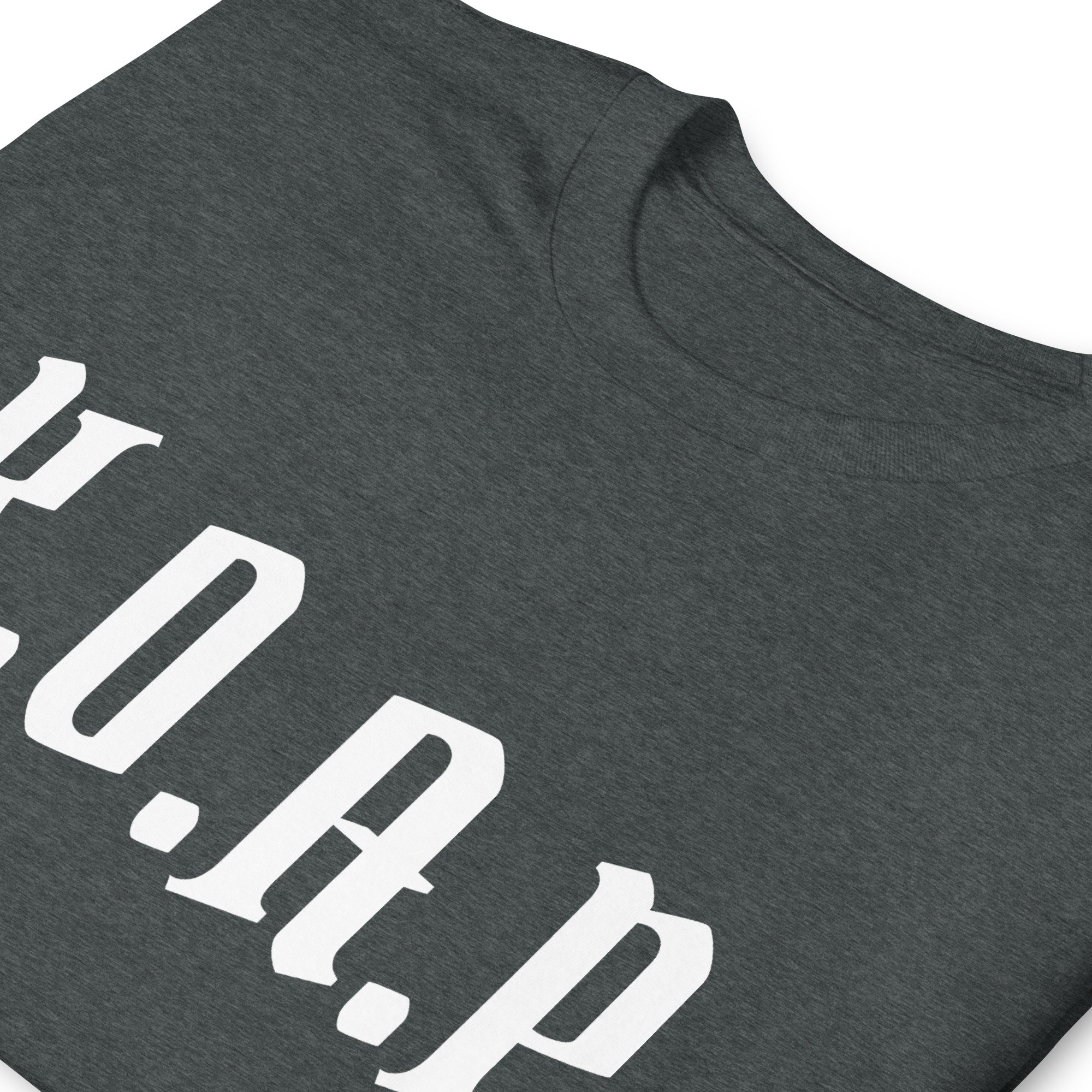 unisex-basic-softstyle-t-shirt-dark-heather-zoomed-in-68536e09a8b9d.jpg