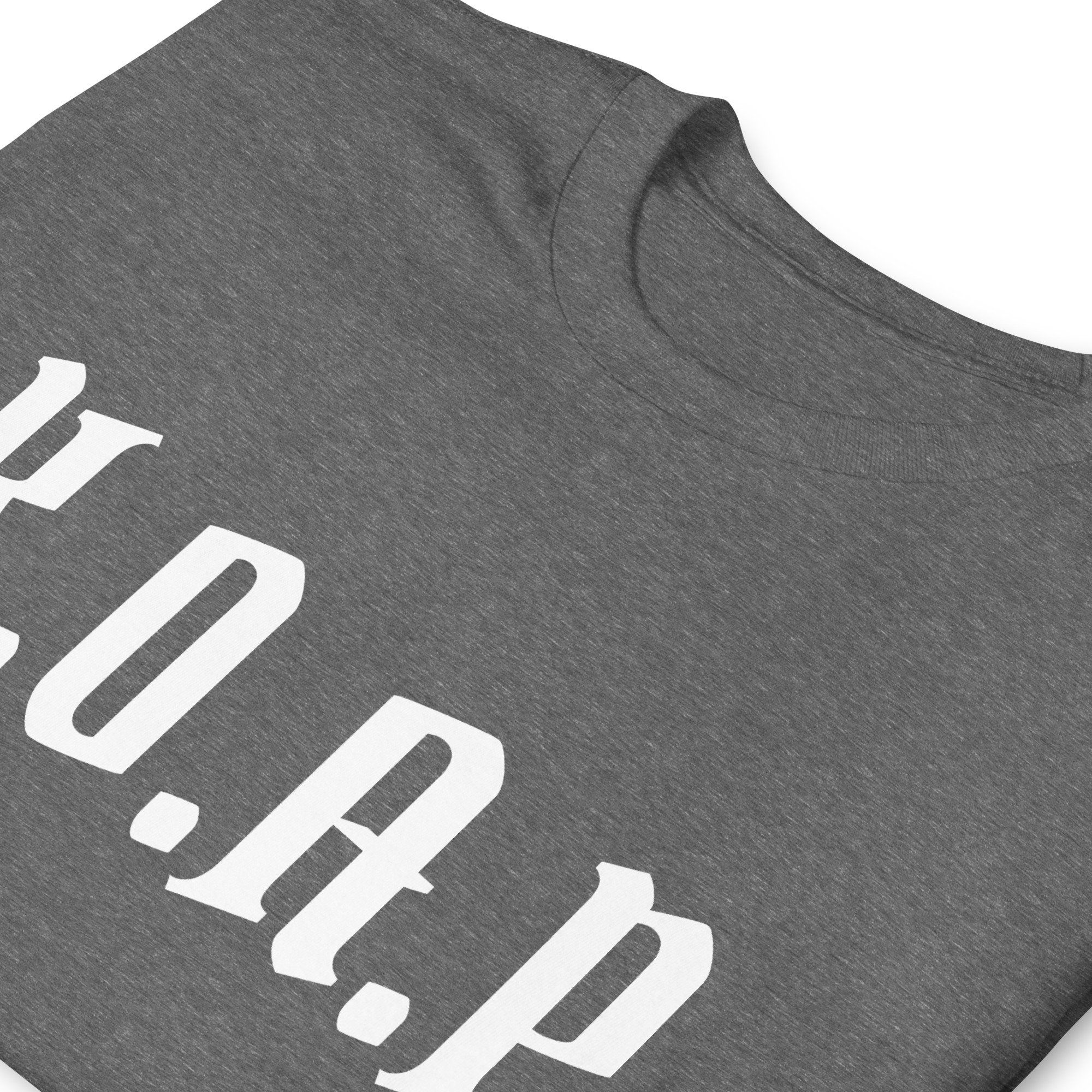 unisex-basic-softstyle-t-shirt-graphite-heather-zoomed-in-68536e09c4293.jpg