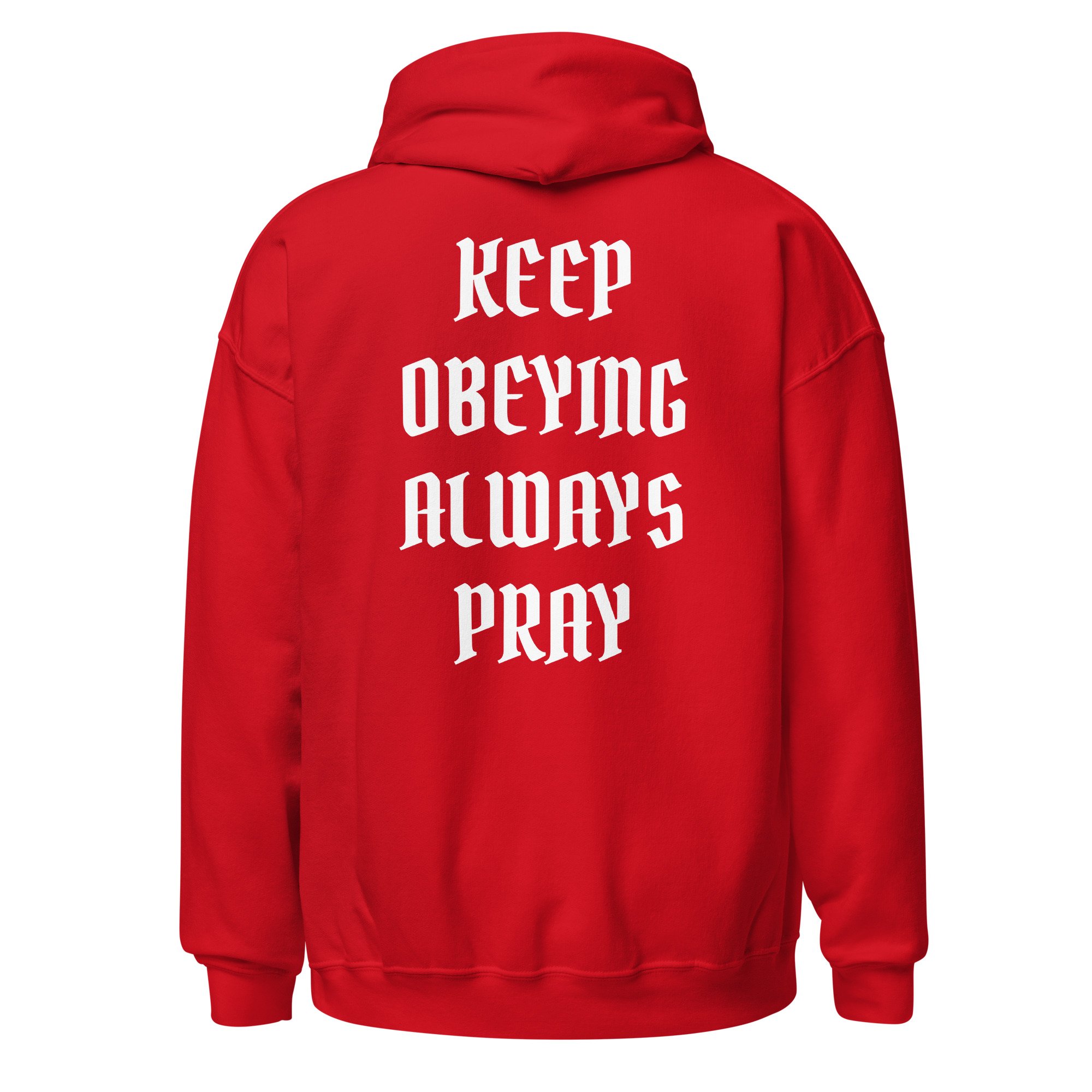 unisex-heavy-blend-hoodie-red-back-6871f2583058a.jpg