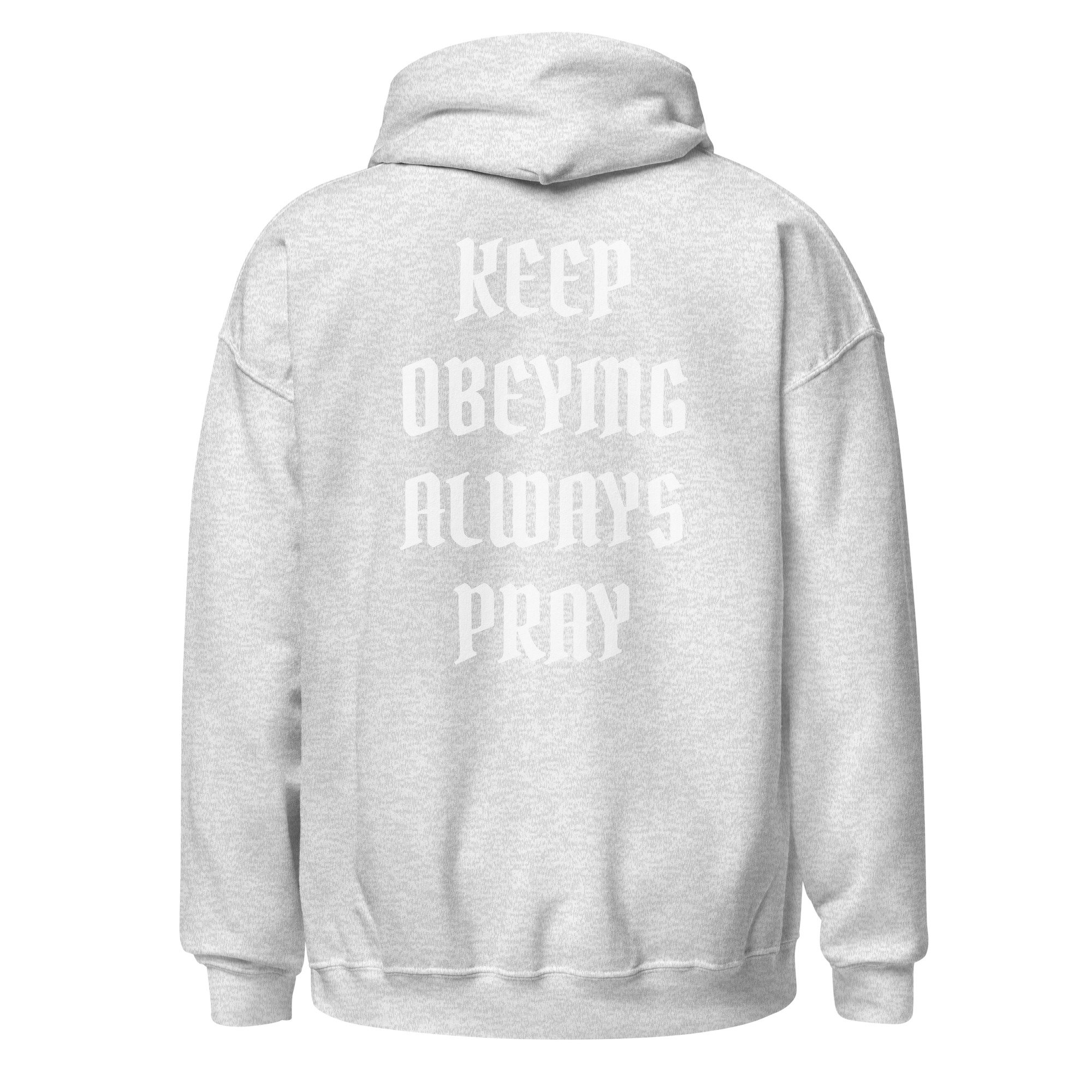 unisex-heavy-blend-hoodie-ash-back-6871f259857ba.jpg