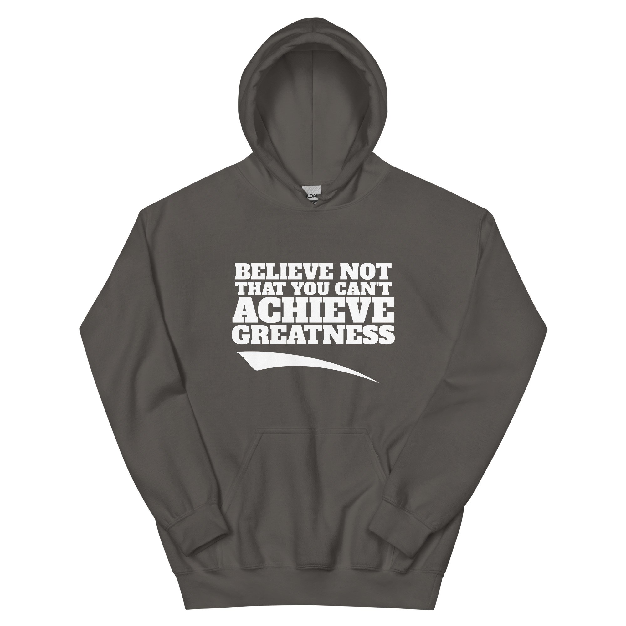 unisex-heavy-blend-hoodie-charcoal-front-6876ff8e1720e.jpg