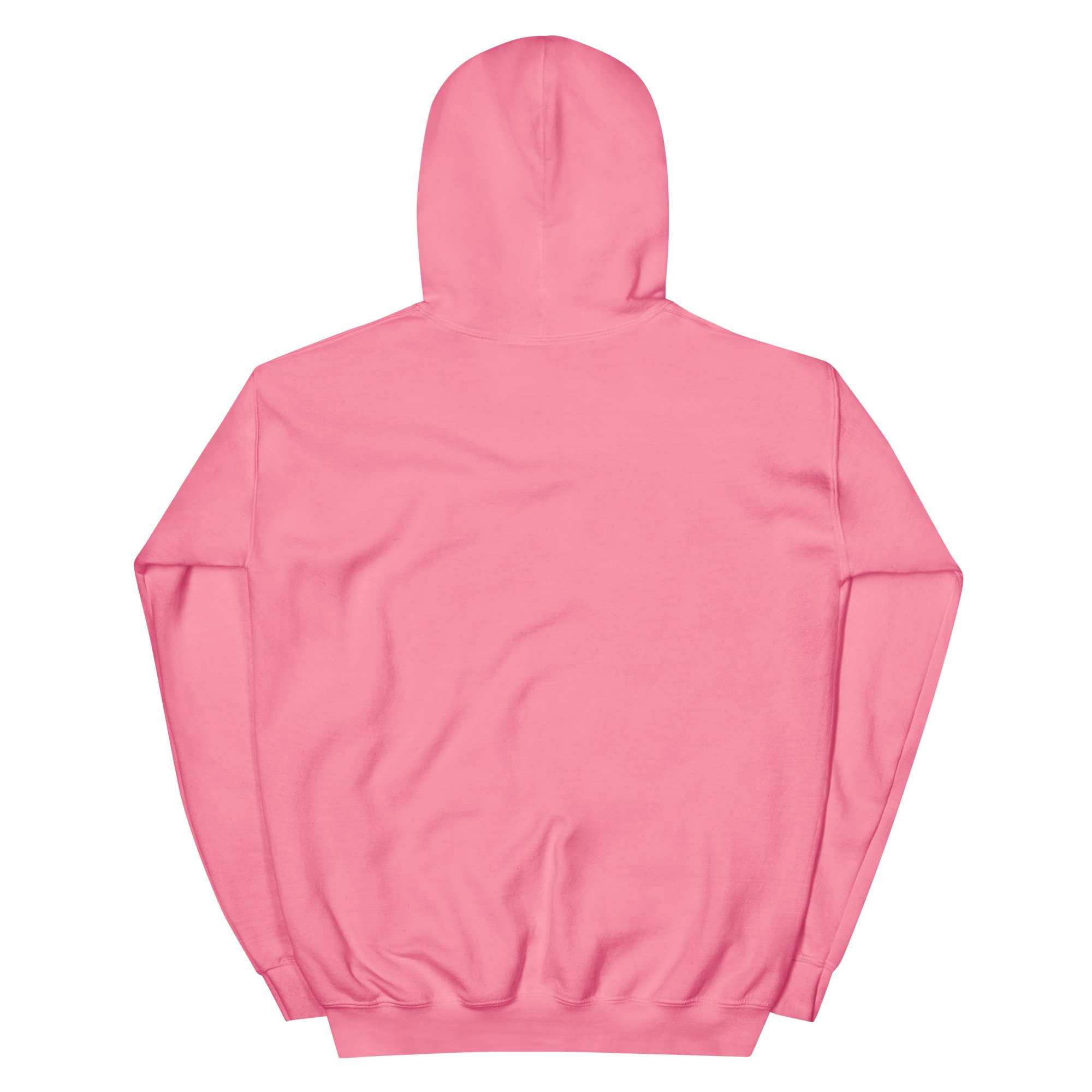 unisex-heavy-blend-hoodie-azalea-back-6876ff8eef9e0.jpg