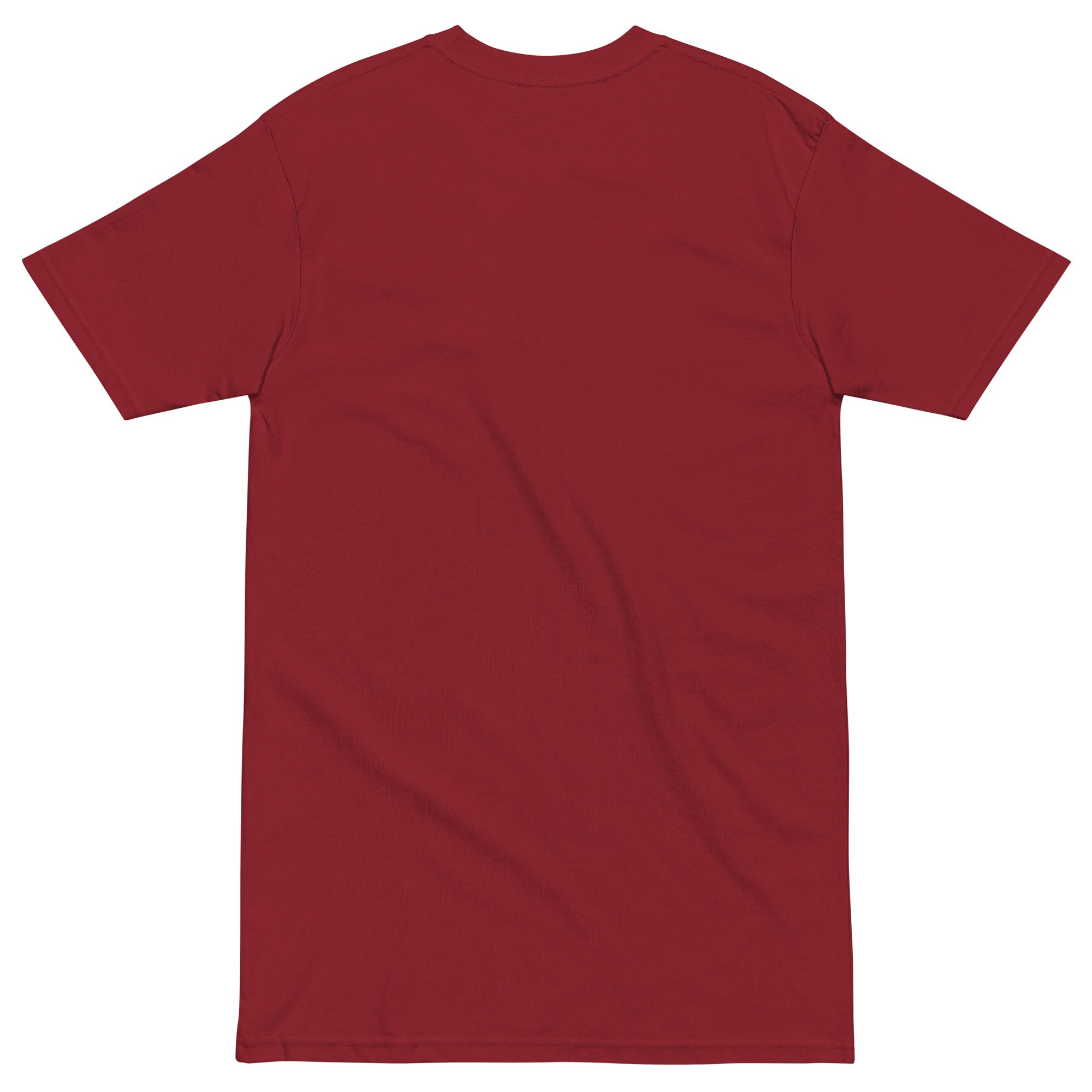 mens-premium-heavyweight-tee-brick-red-back-687b24616149a.jpg