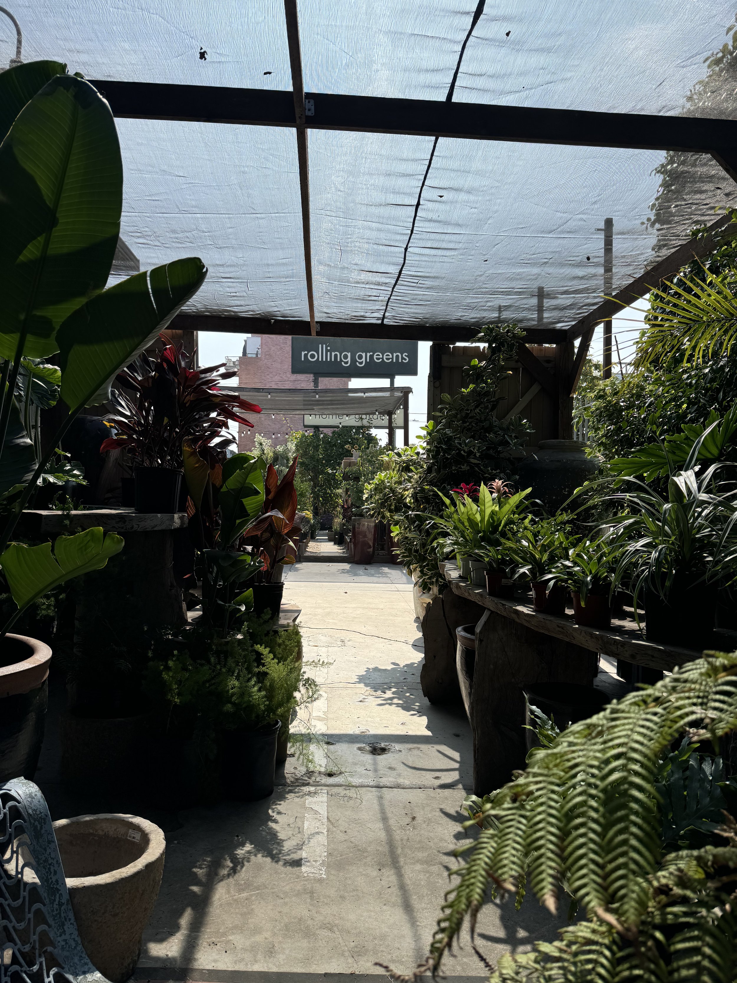 IMG_9507.jpeg