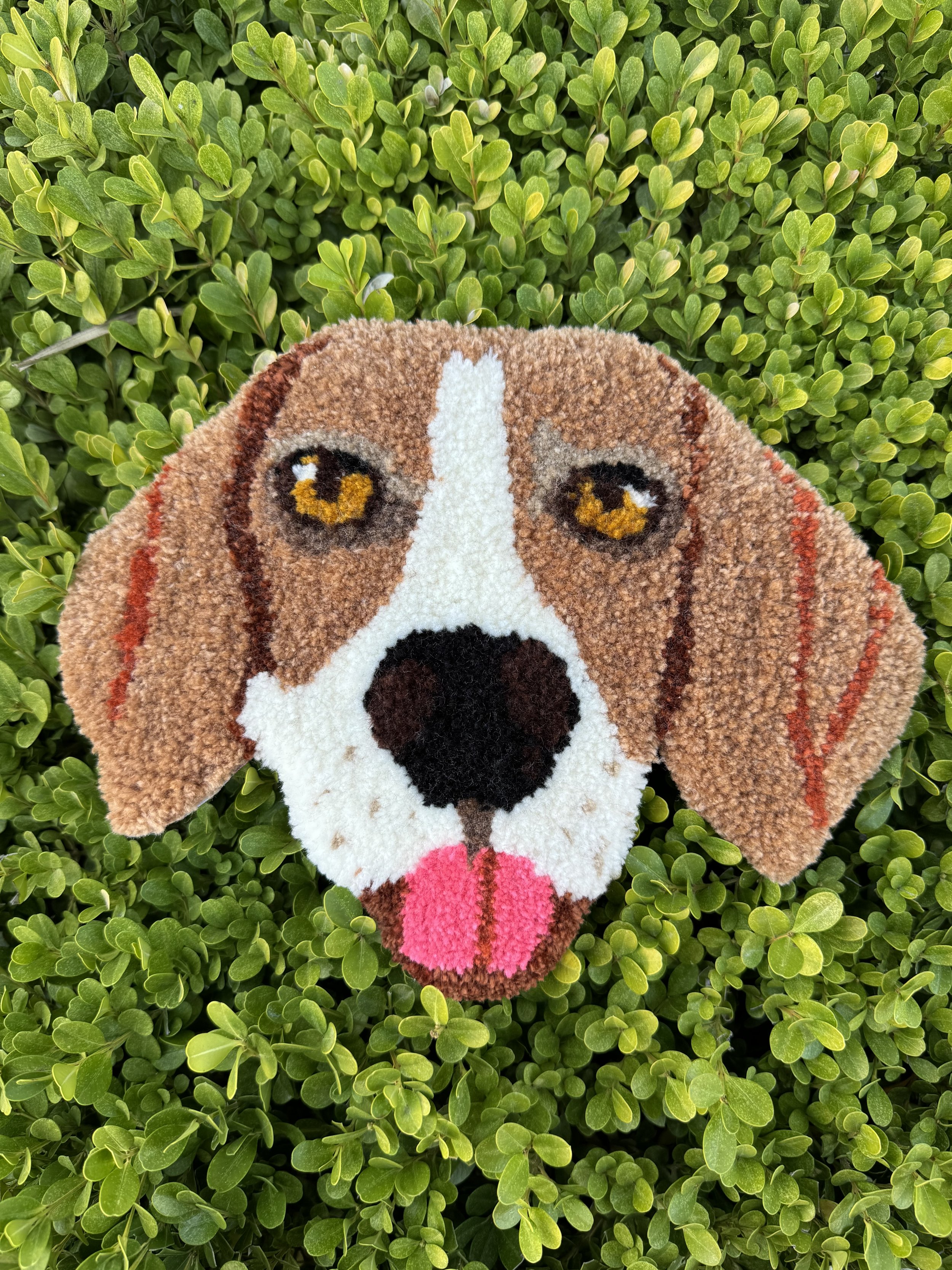 dog rug