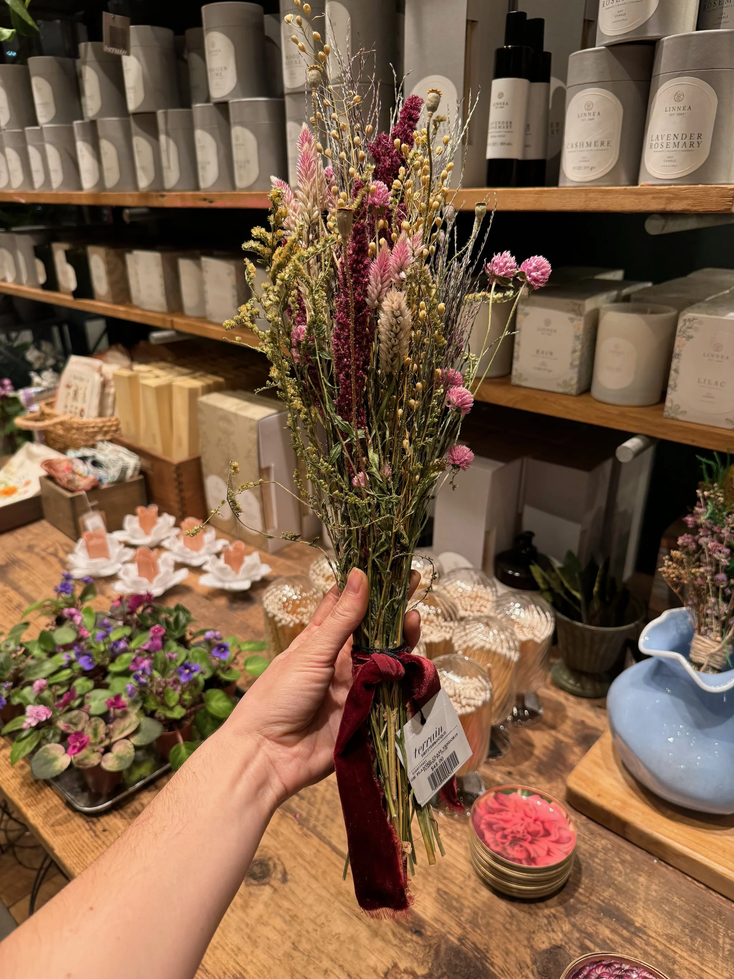 IMG_4003.jpeg
