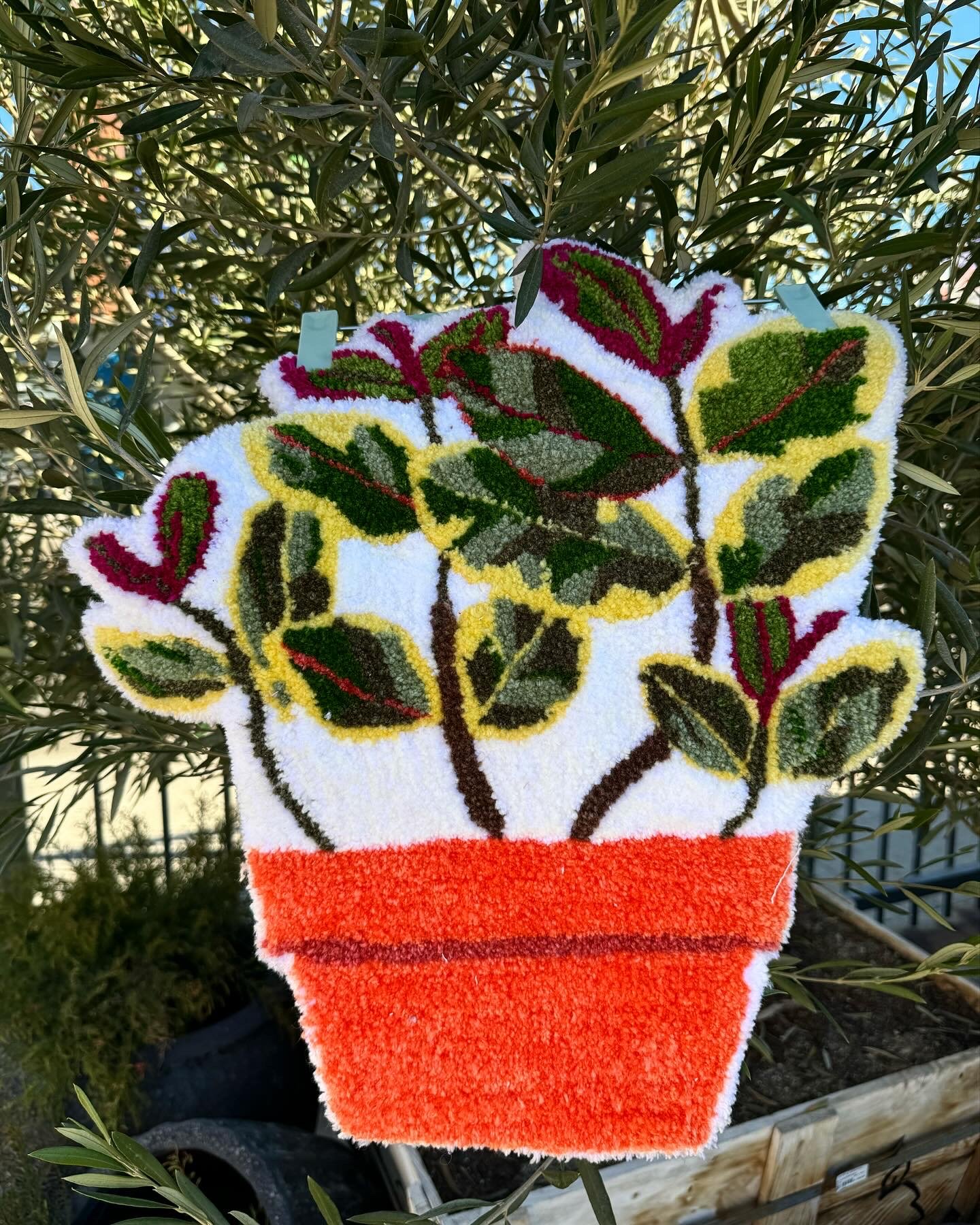 A hand-shaped towel with the design of a potted plant with green and pink leaves, hanging on a branch of an olive tree.