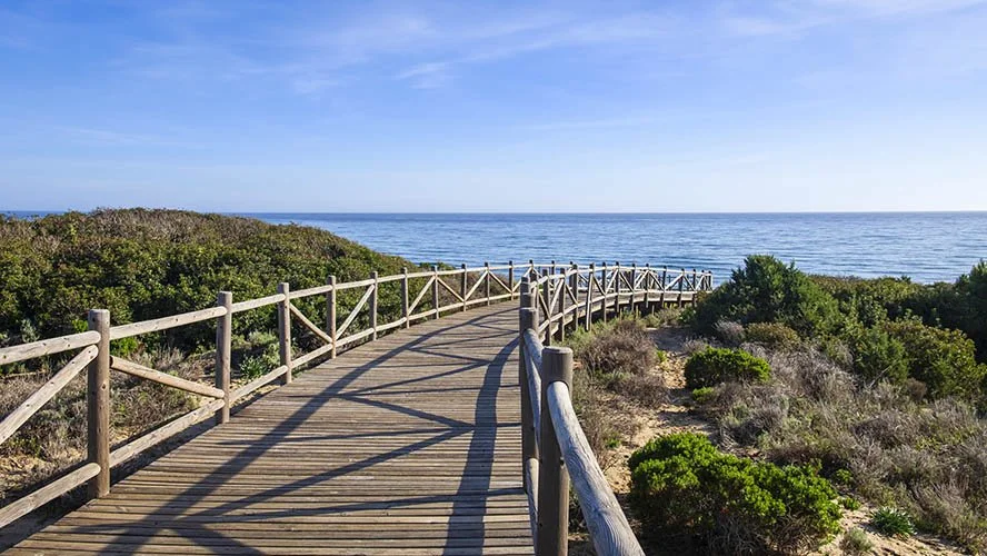 Marbella beach.jpg