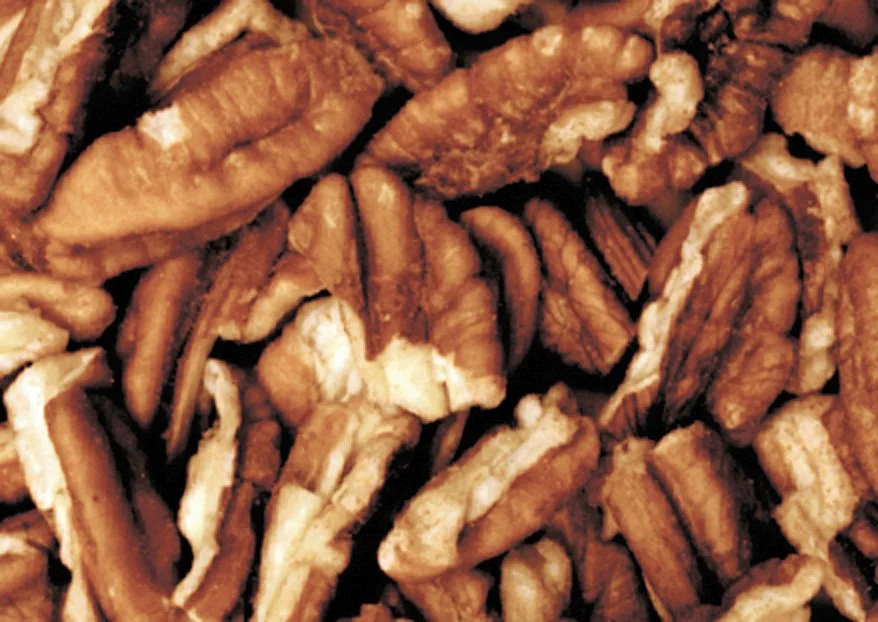 Close-up of assorted pecan nuts, some broken in halves or pieces.