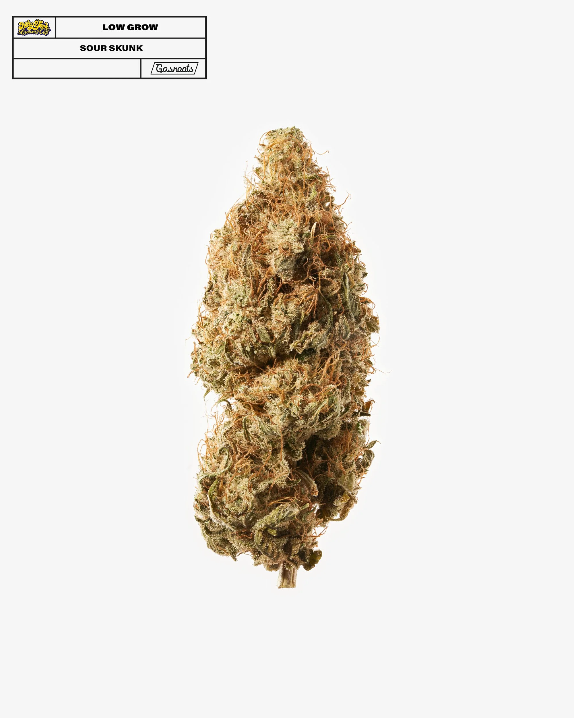 221011_NYSGC_EntryPhotos_O10_LowGrow_SourSkunk_011_A_Final 1.jpg