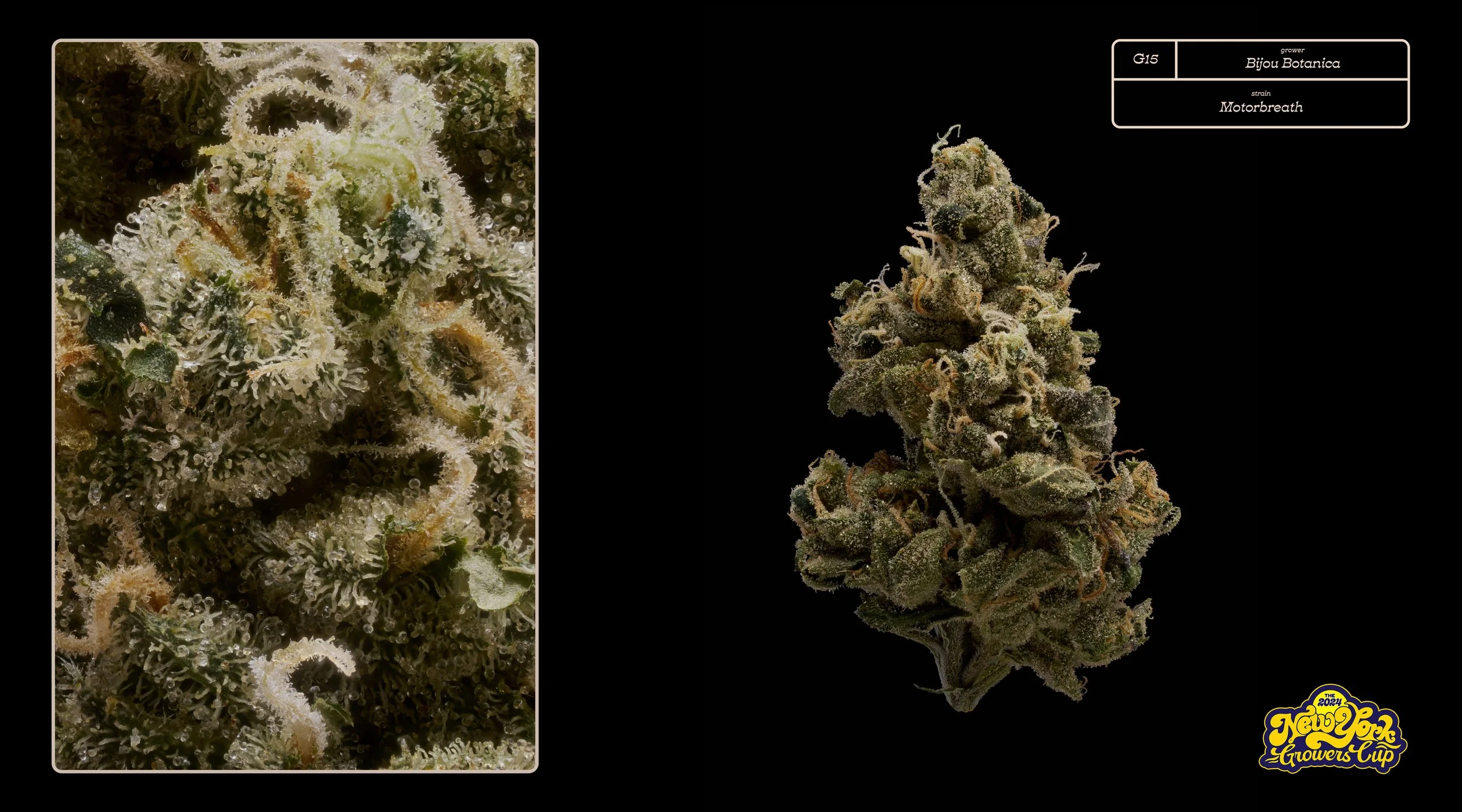 2024_NYGC_Slideshow-Entries_G15_ Bijou Botanica – “Motorbreath”%0A.jpg