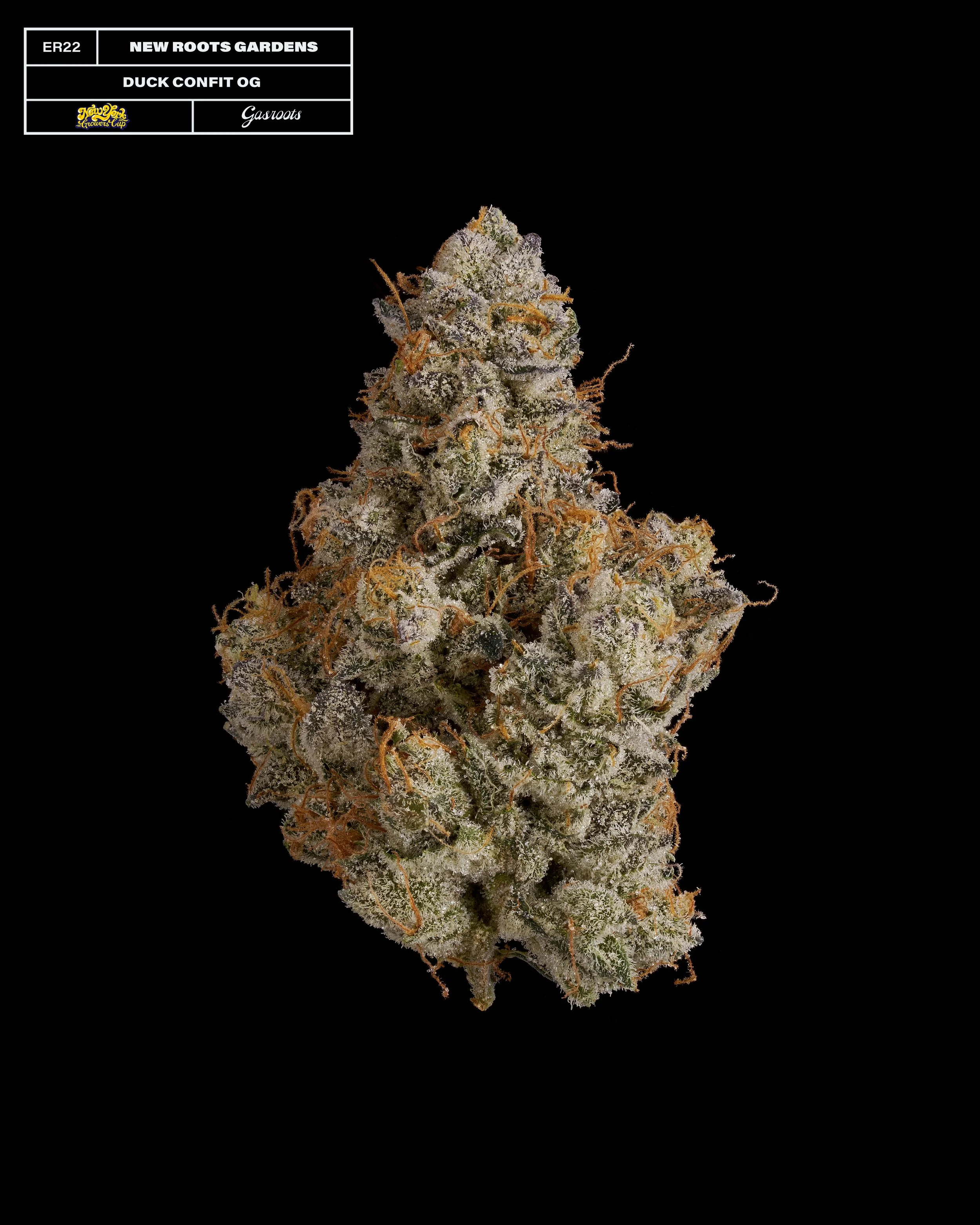 20231104_Gasroots_NYGrowersCup_ER22_NewRootsGardens_DuckConfitOG_Infographic.jpg