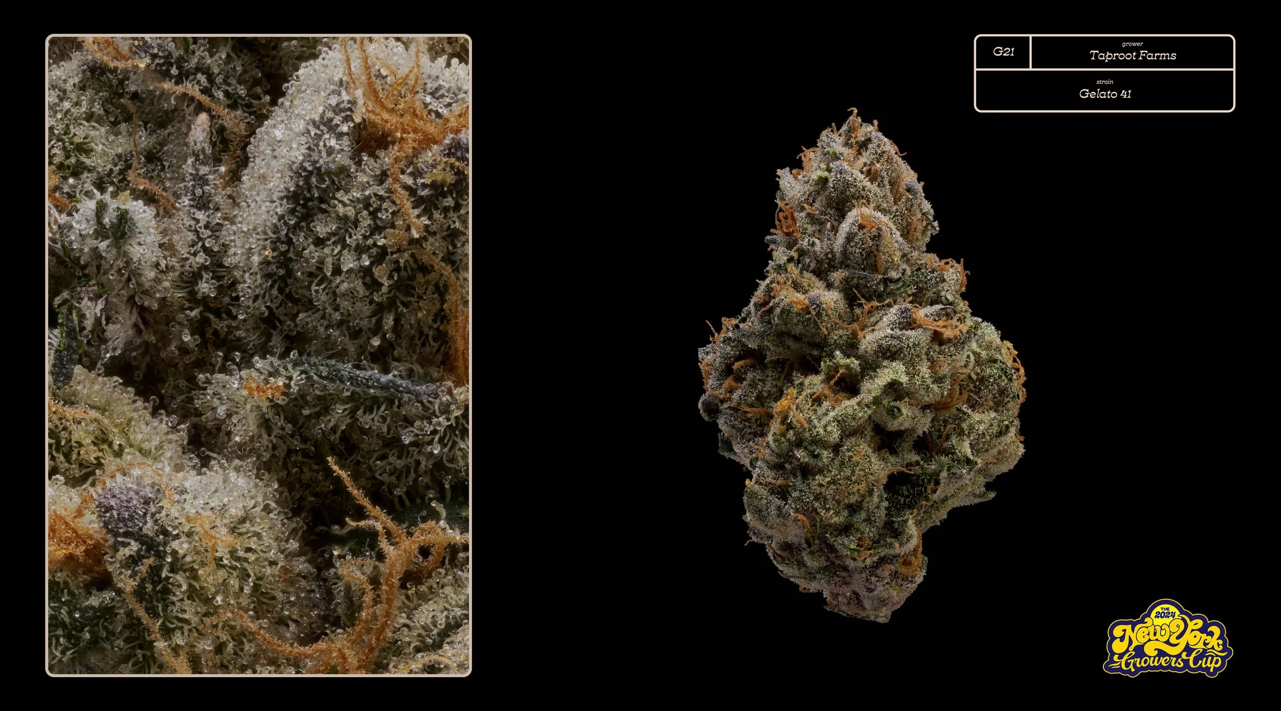2024_NYGC_Slideshow-Entries_G21_ Taproot Farms – “Gelato 41”%0A.jpg
