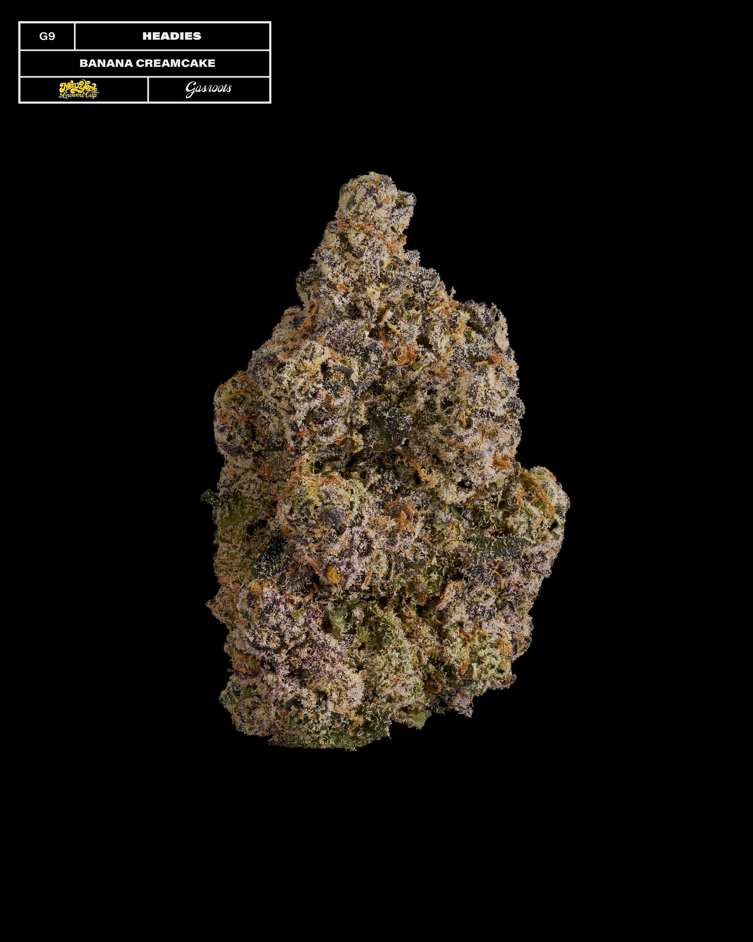 20231104_Gasroots_NYGrowersCup_G9_Headies_BananaCreamcake_Infographic.jpg