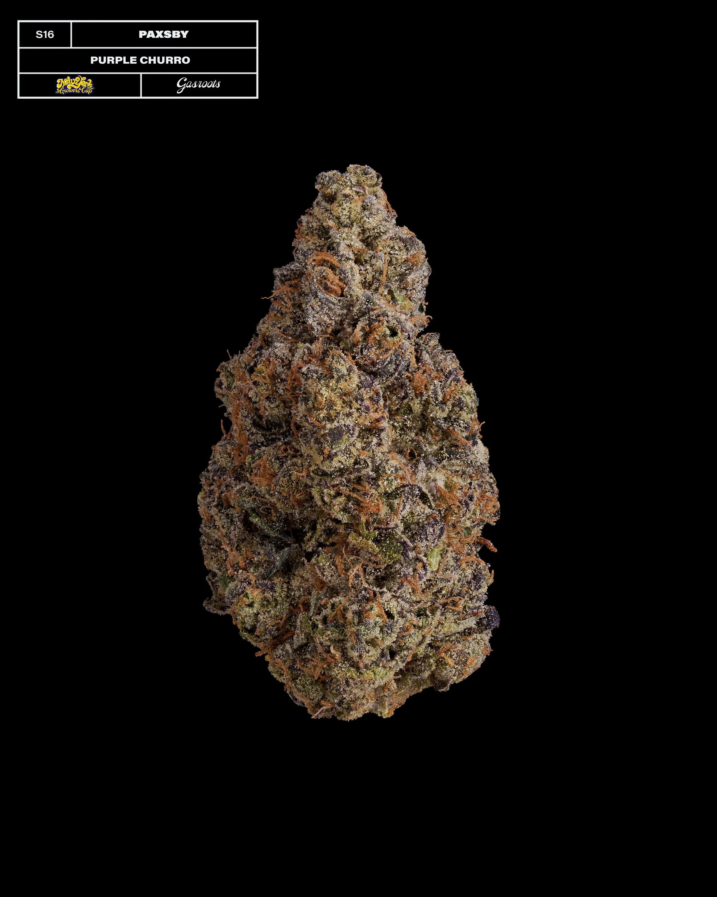 20231104_Gasroots_NYGrowersCup_S16_Paxsby_PurpleChurro_Infographic.jpg