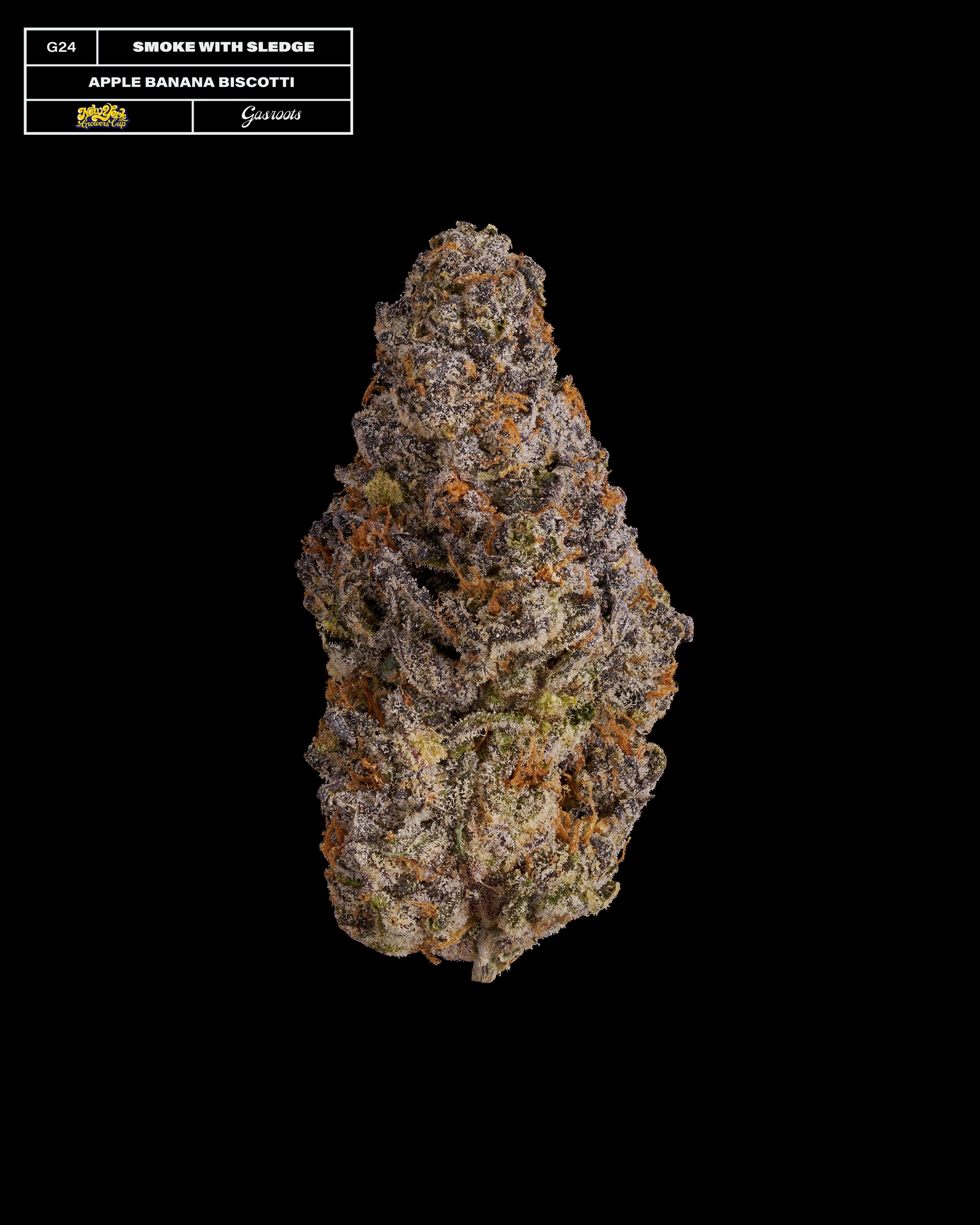 20231104_Gasroots_NYGrowersCup_G24_SmokeWithSledge_AppleBananaBiscotti_Infographic.jpg