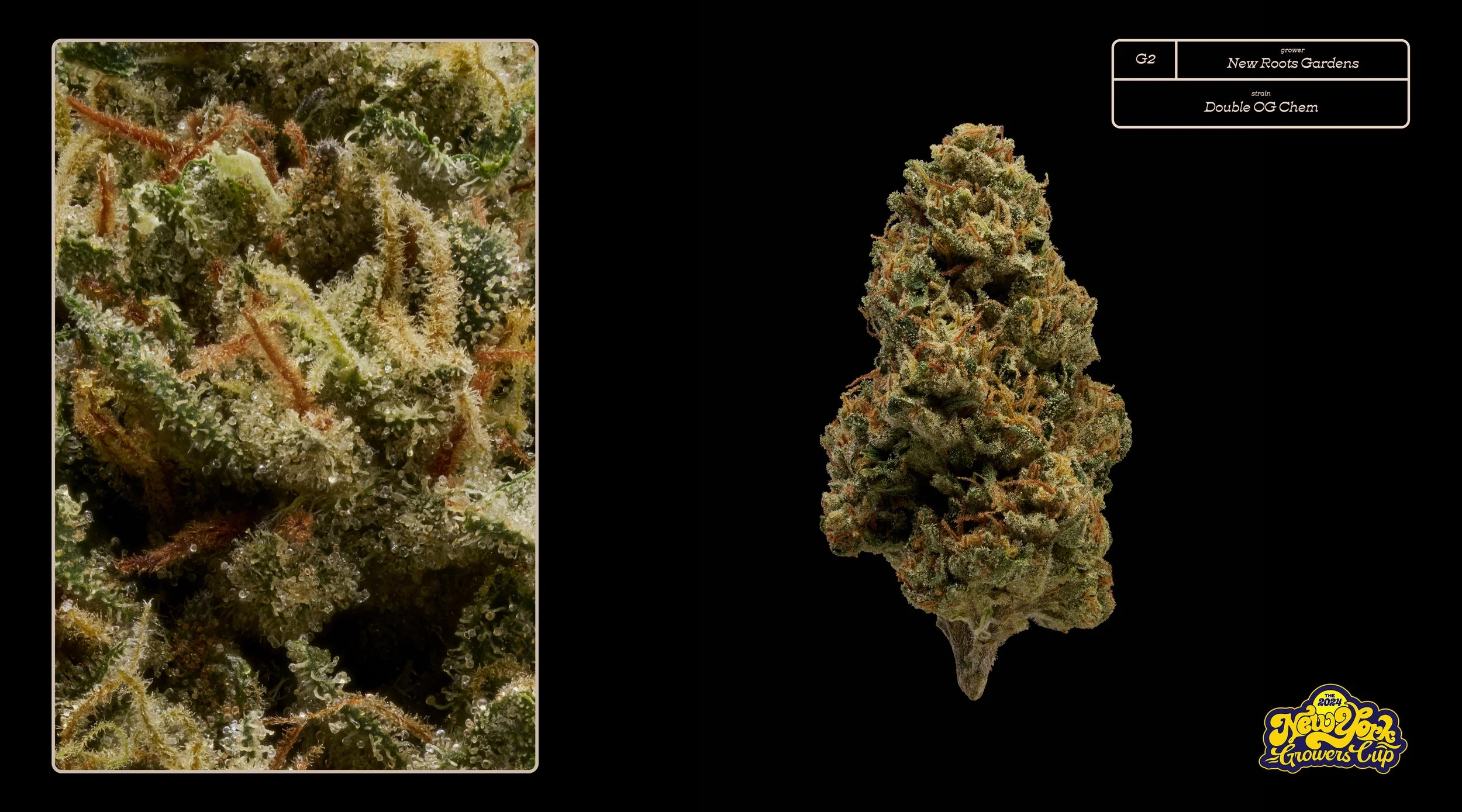 2024_NYGC_Slideshow-Entries_G2_ New Roots Gardens - “Double OG Chem”.jpg