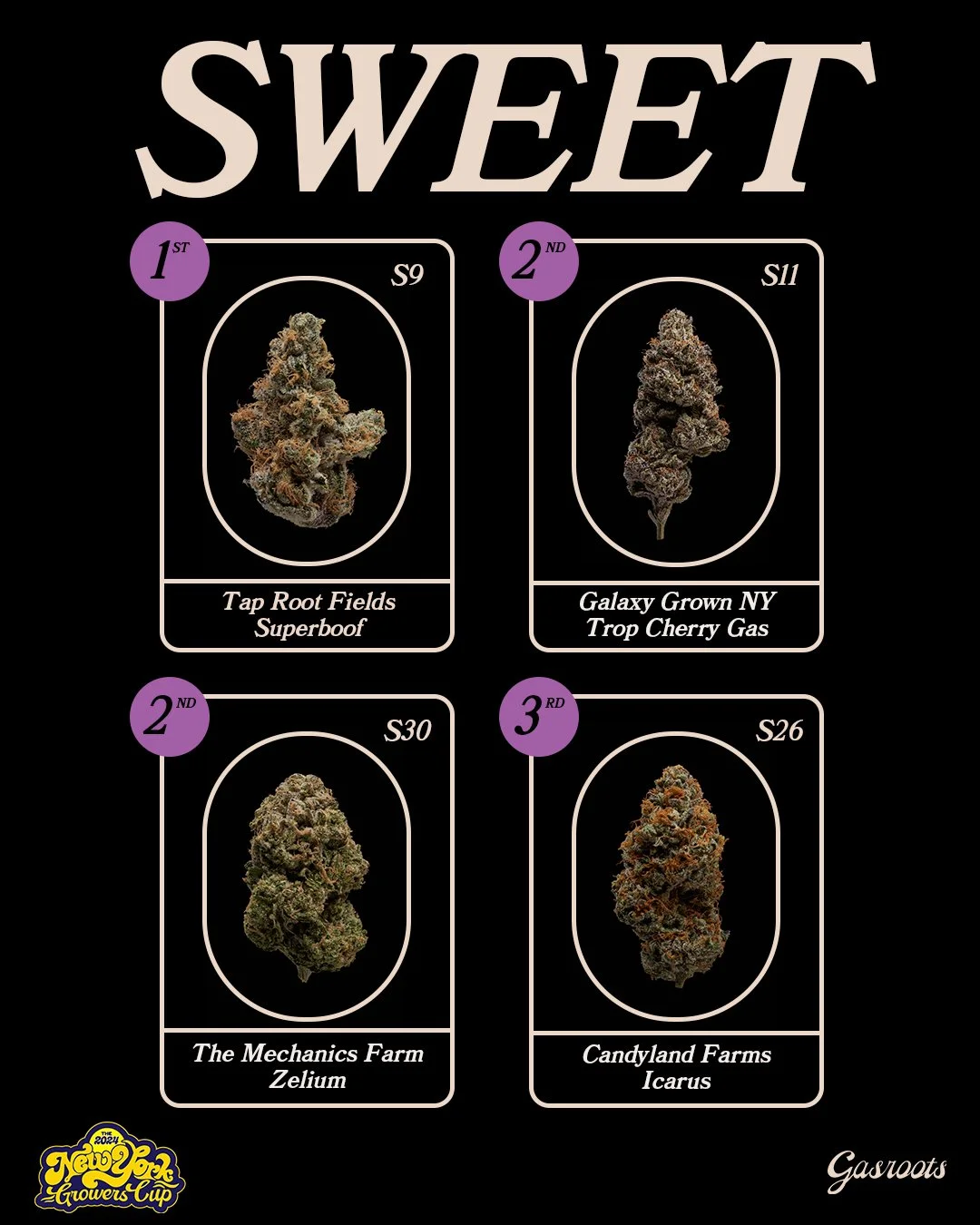 WINNER_GFX_2024_V01SWEET.jpg
