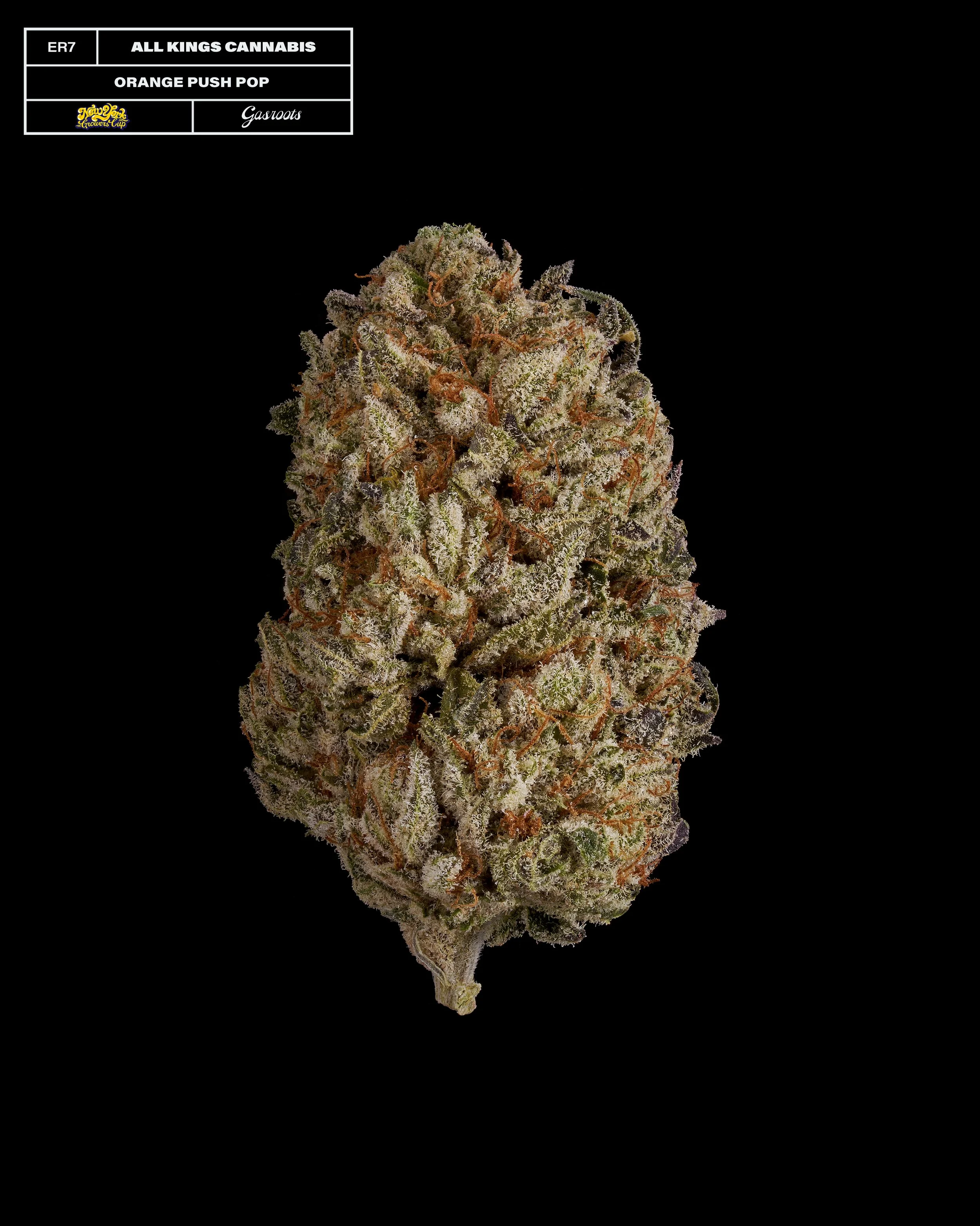 20231104_Gasroots_NYGrowersCup_ER7_AllKings_OrangePushPop_Infographic.jpg