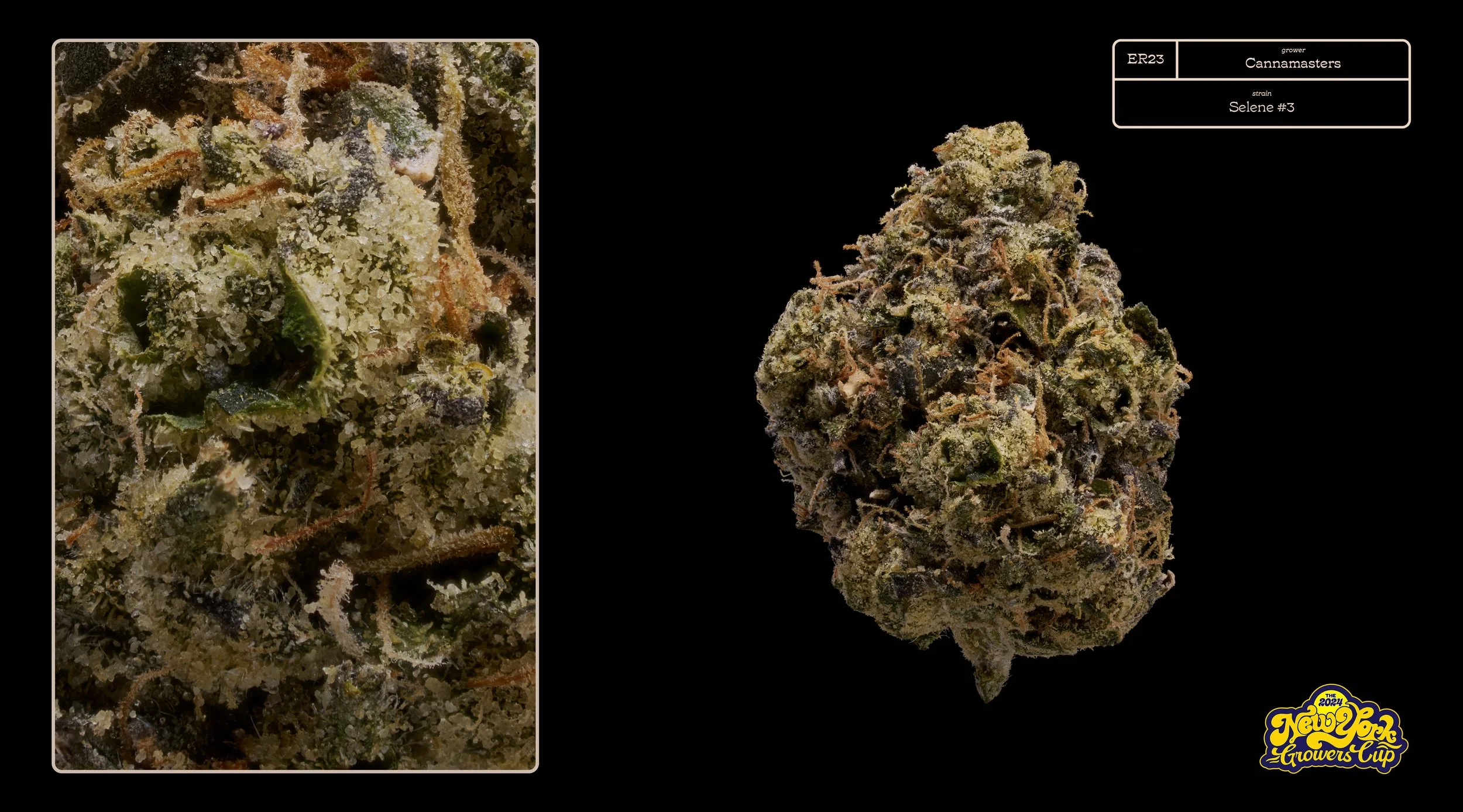 2024_NYGC_Slideshow-Entries_ER23_ Cannamasters – “Selene #3” .jpg