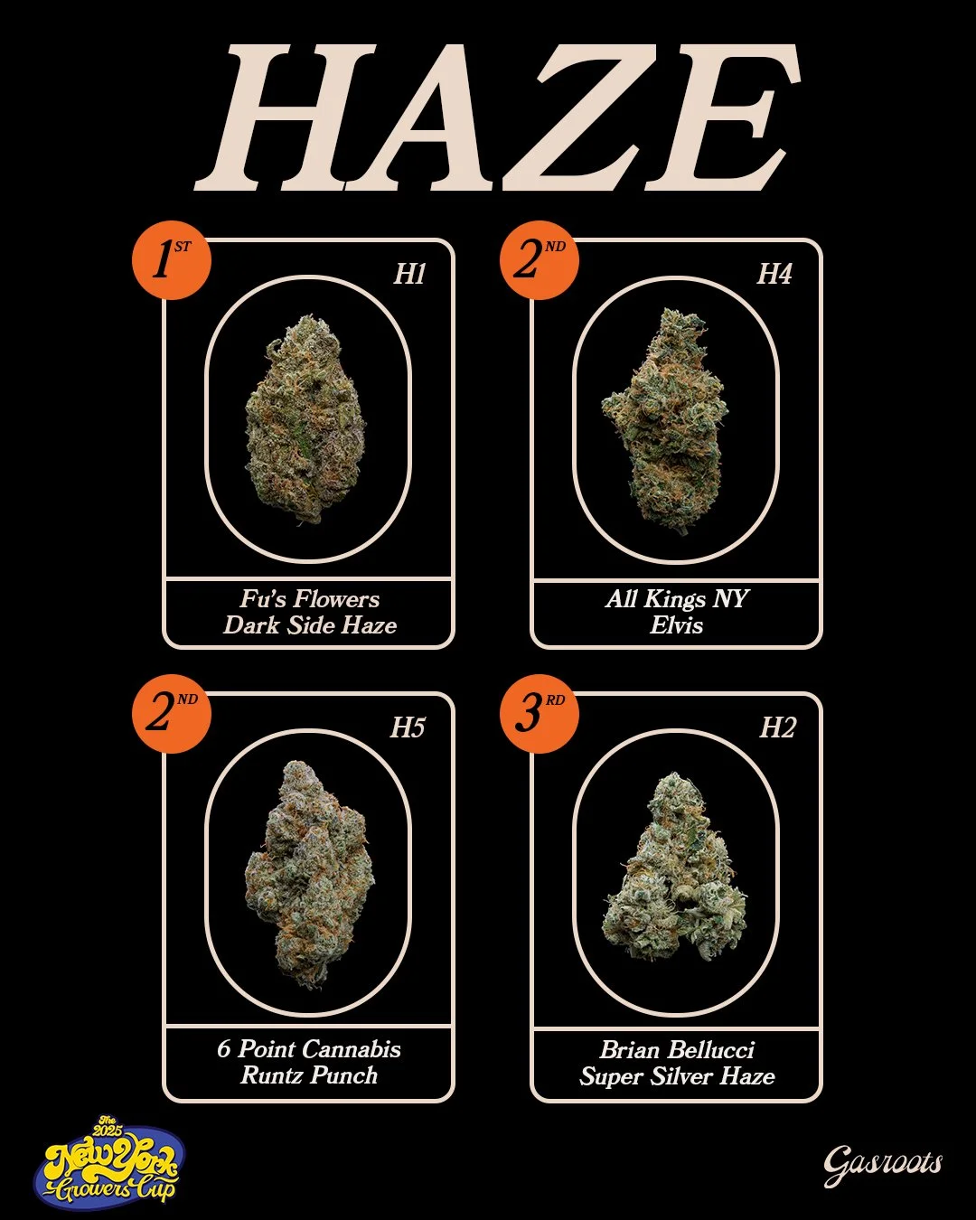 2025_HAZE.jpg